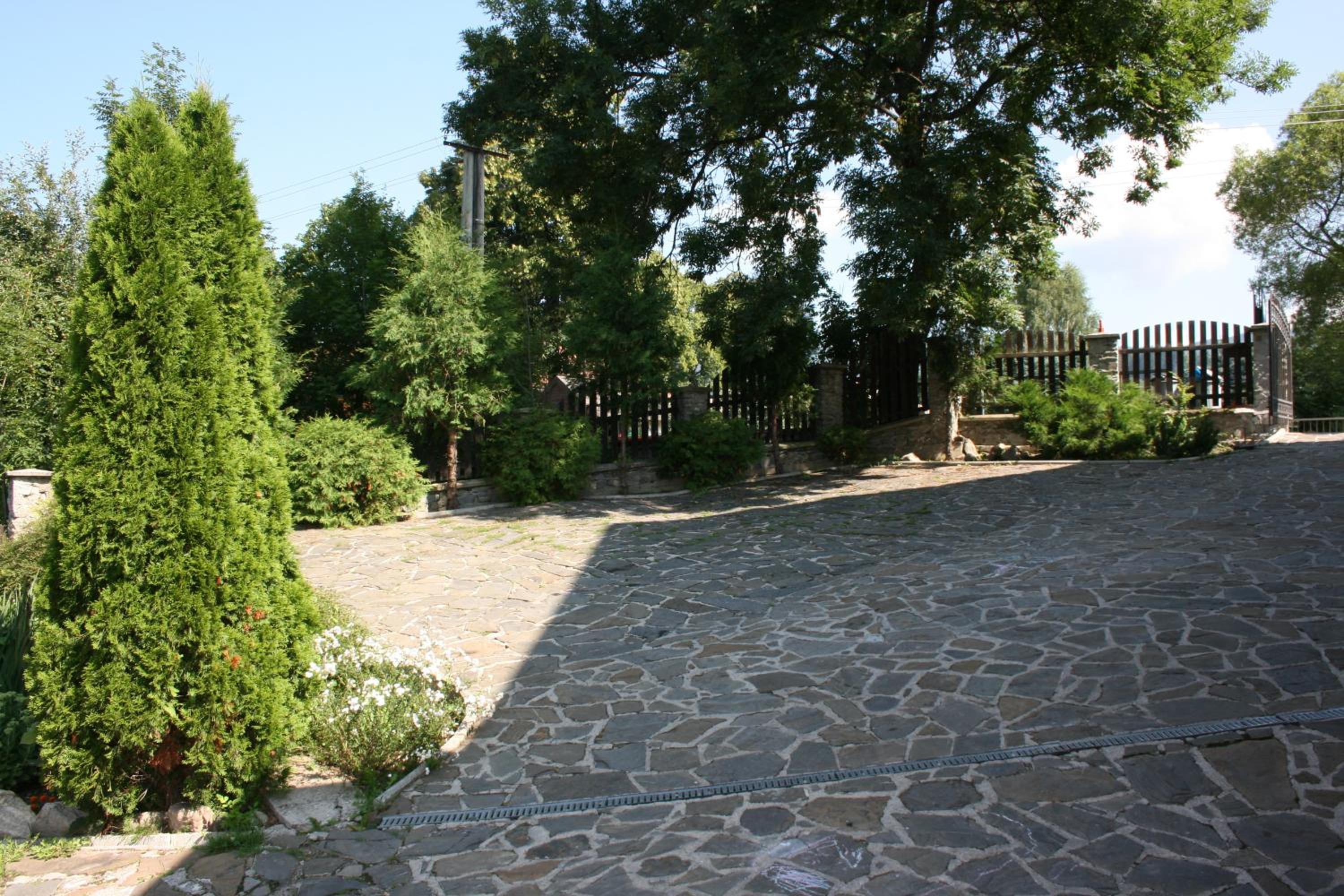Photo 44