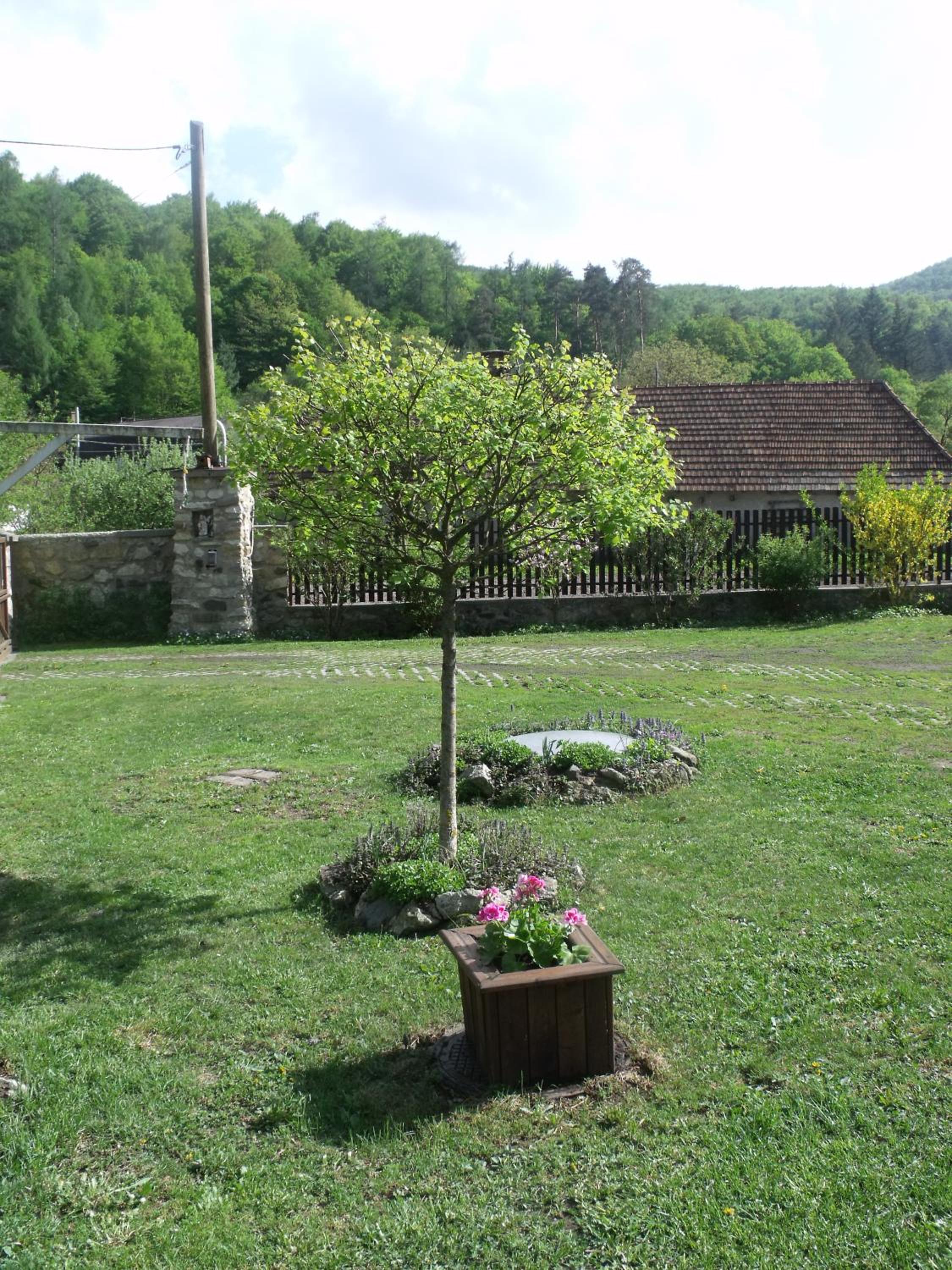 Photo 10