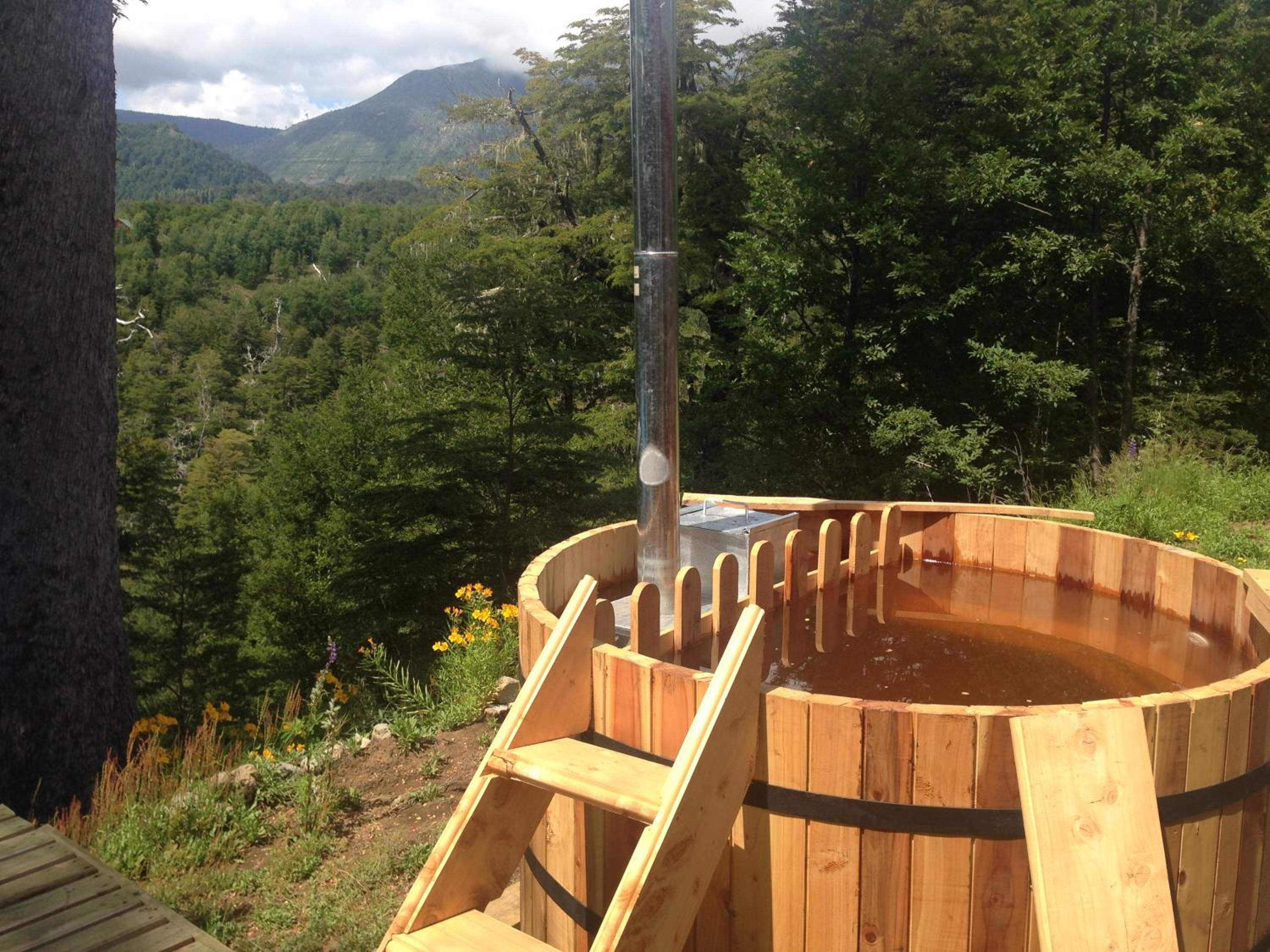 Lodge Palguin Alto