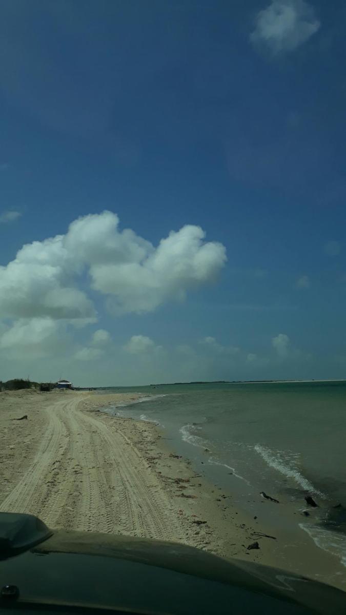 Photo 49