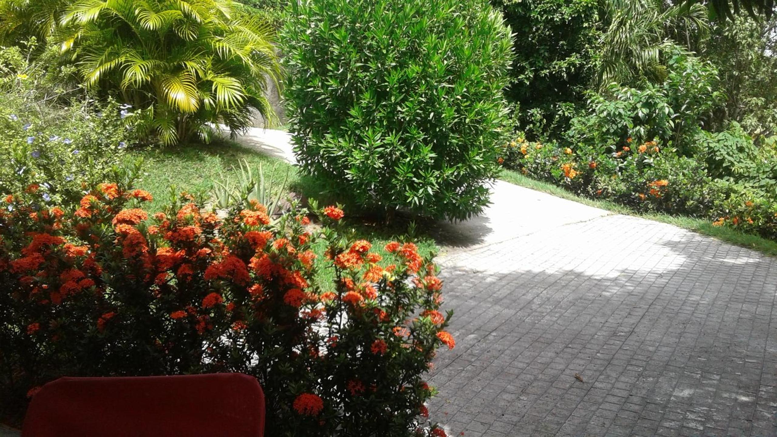 Bungalow le manikou view 3