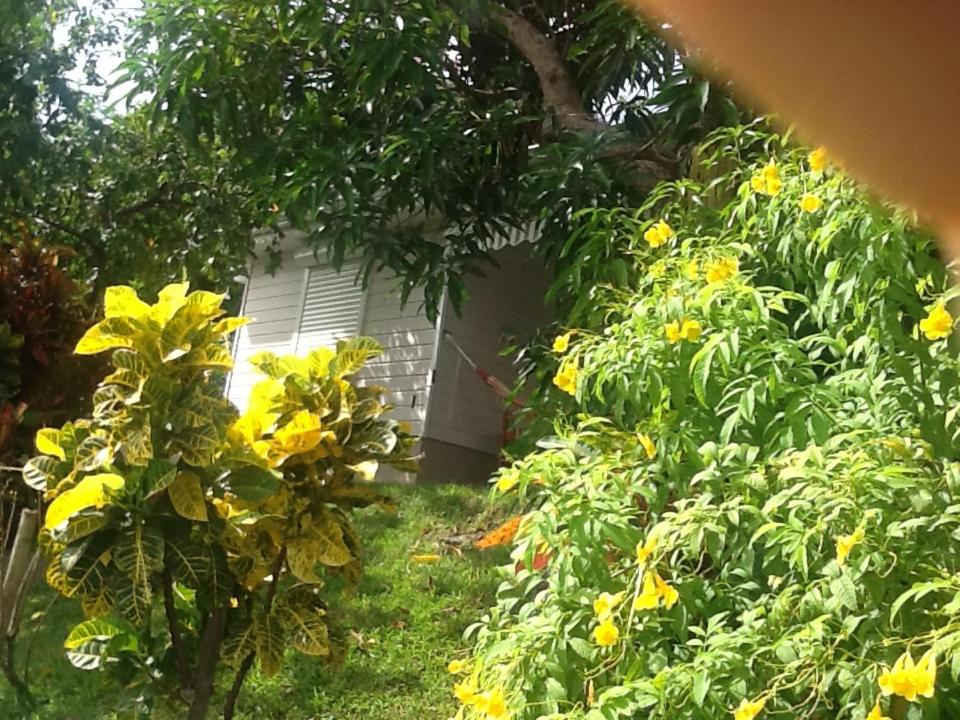 Bungalow le manikou view 2