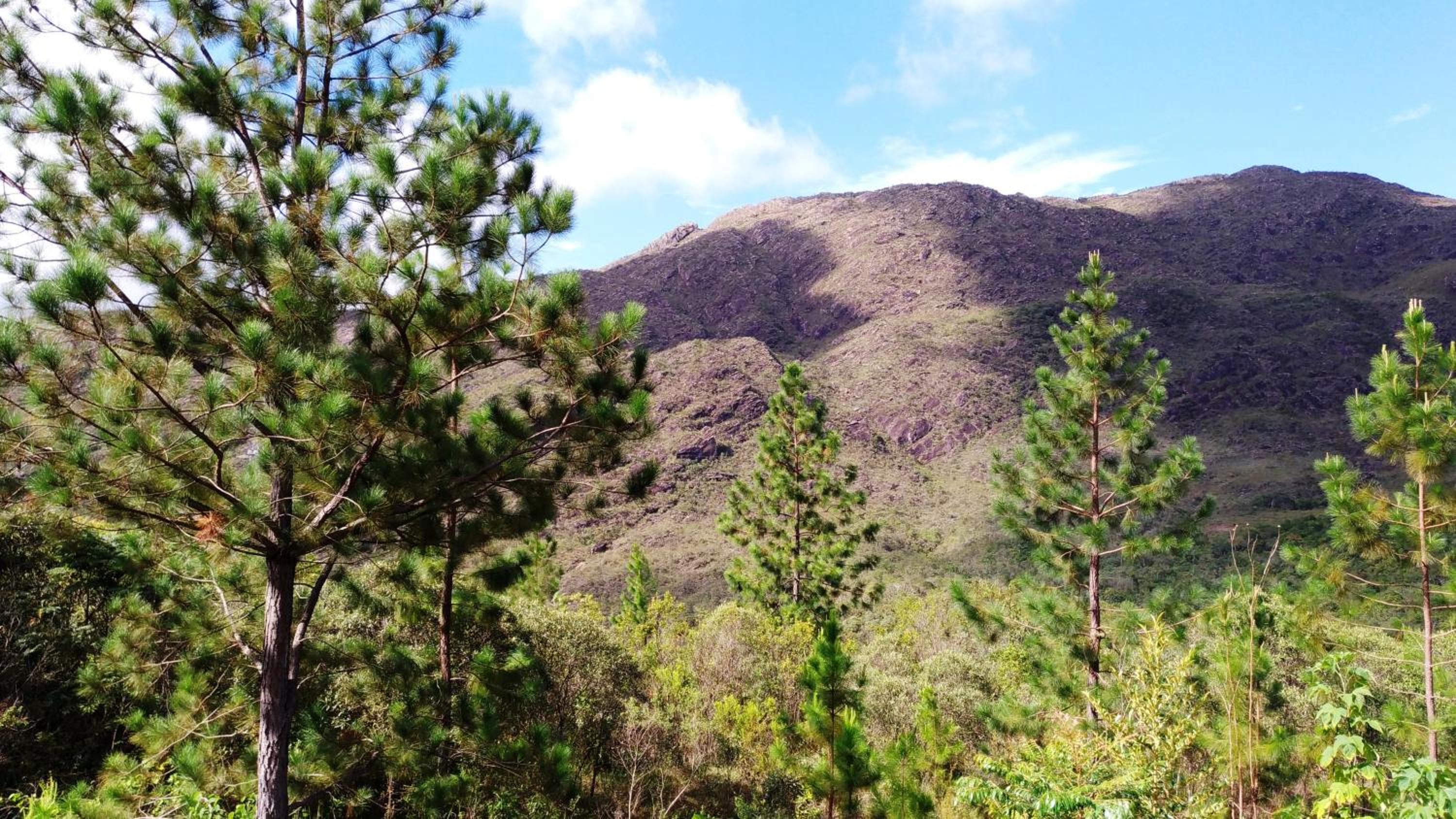 Chalé da Chapada