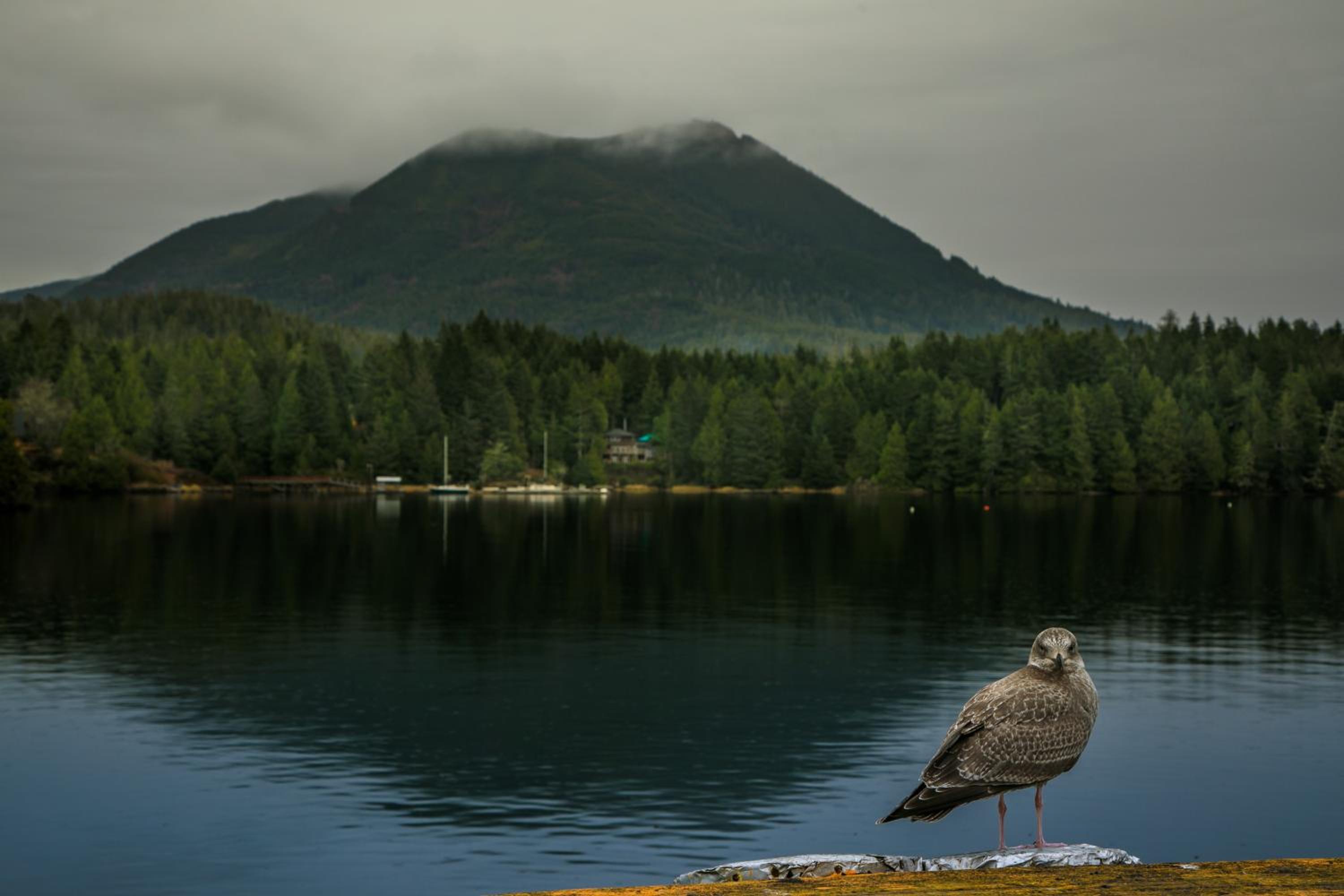 Black Rock Landing