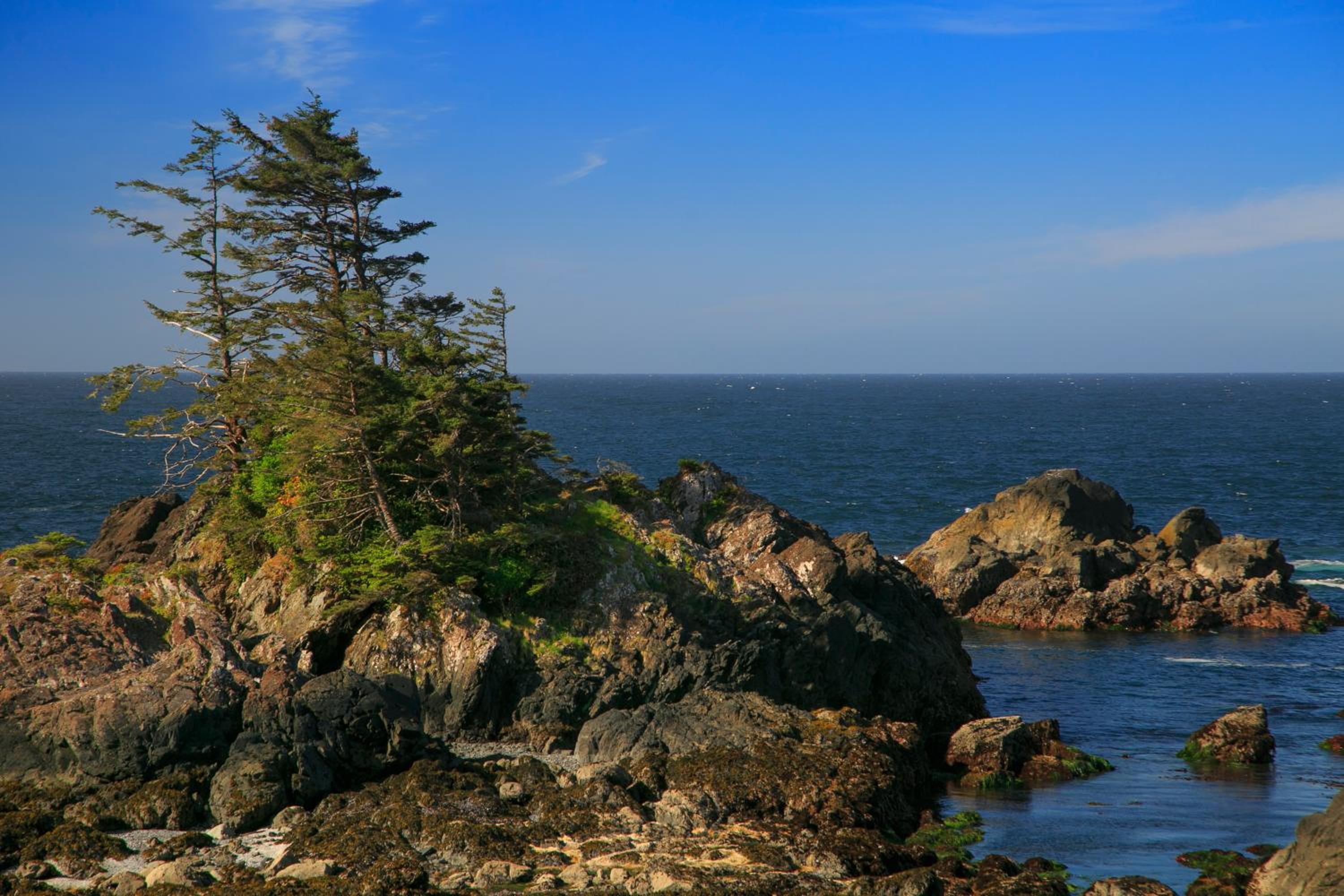 Black Rock Beach House
