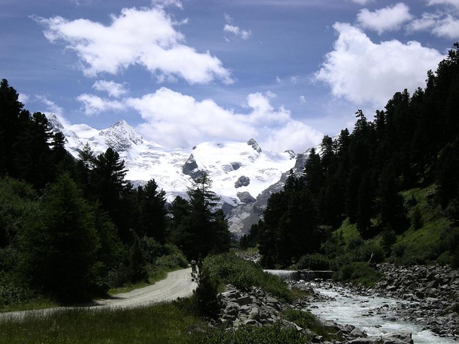 Palüdetta 8