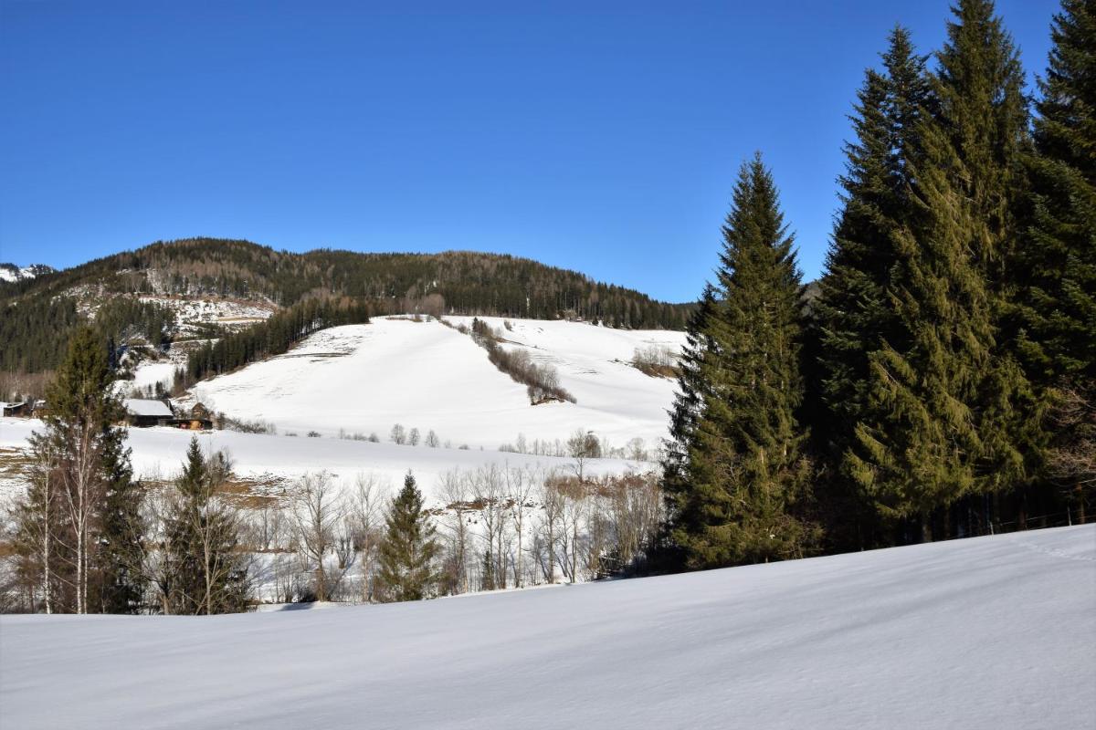Ferienhaus Dirnbacher Hütte