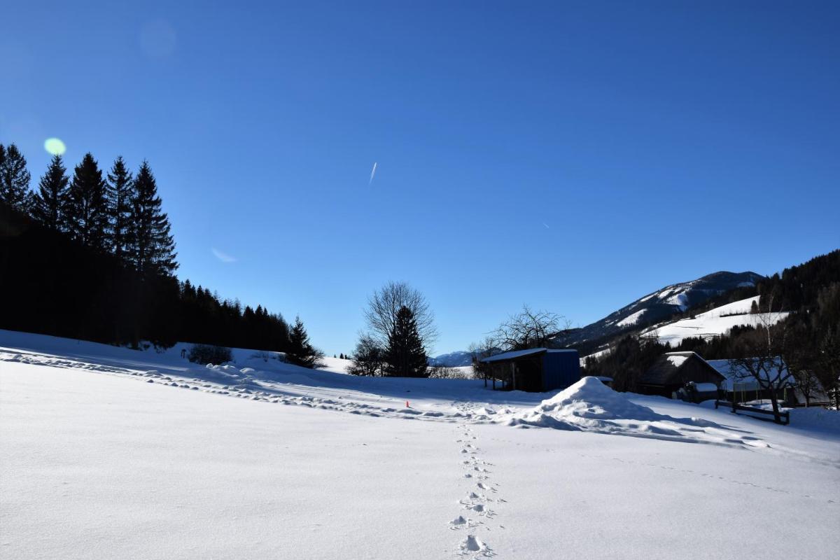 Ferienhaus Dirnbacher Hütte