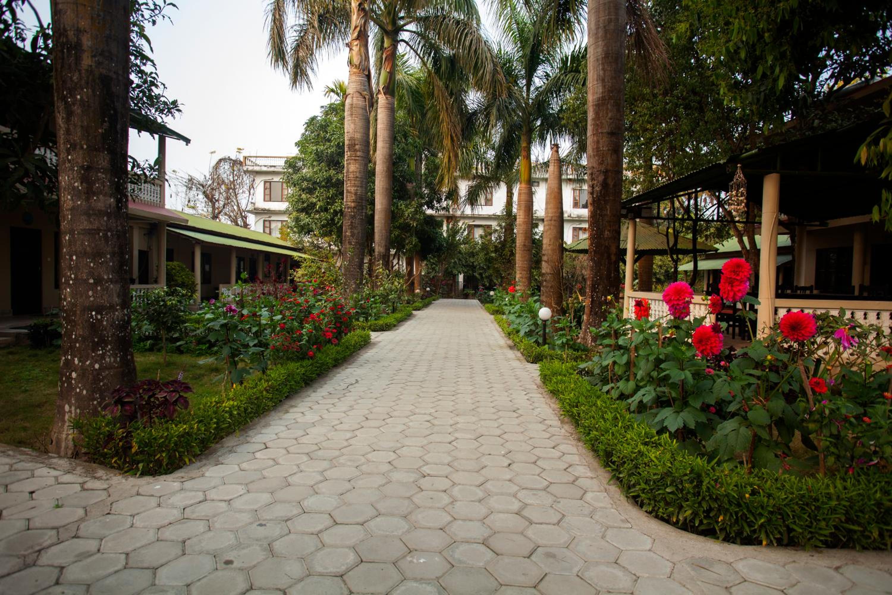 Sauraha Resort