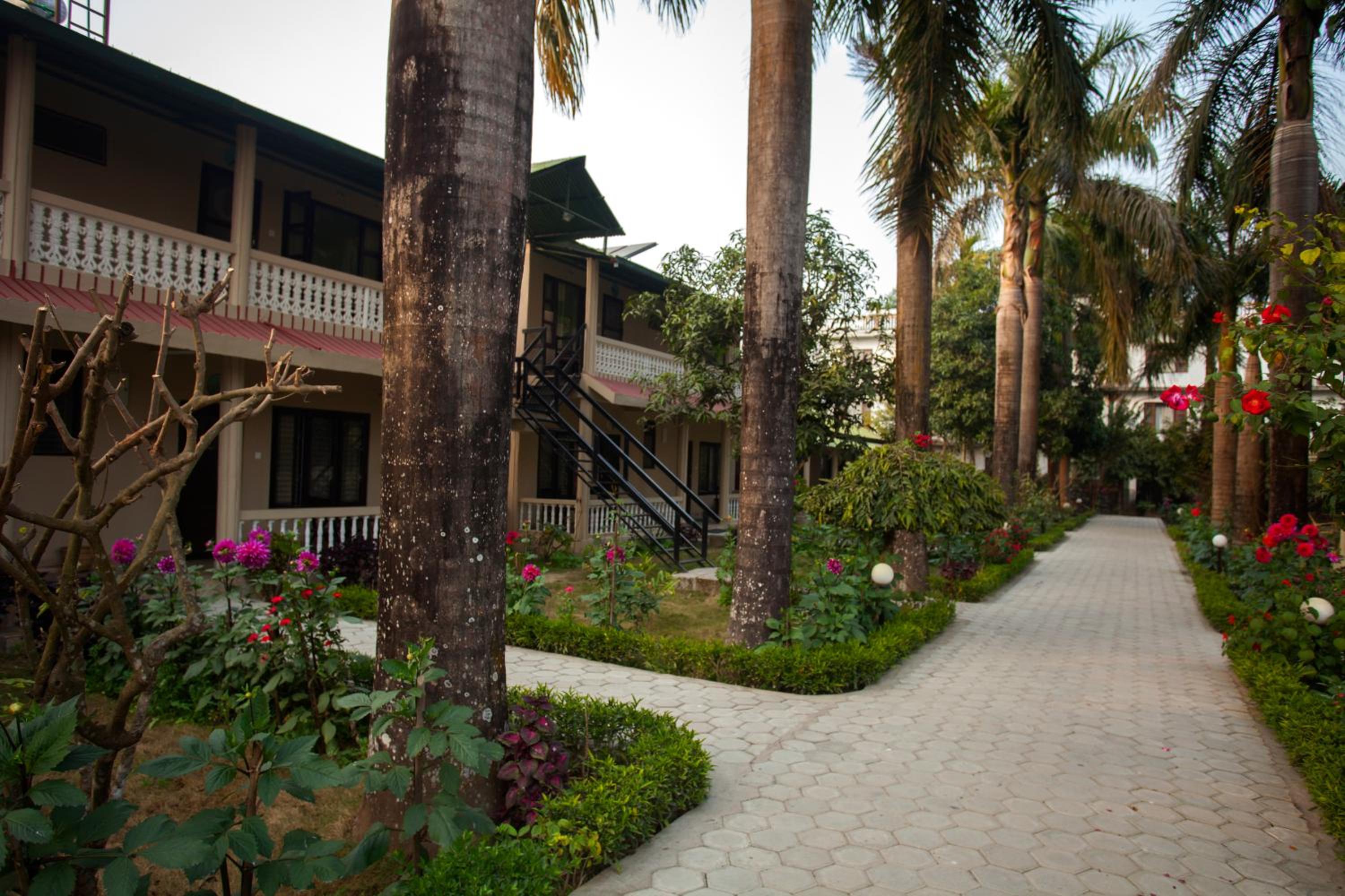 Sauraha Resort