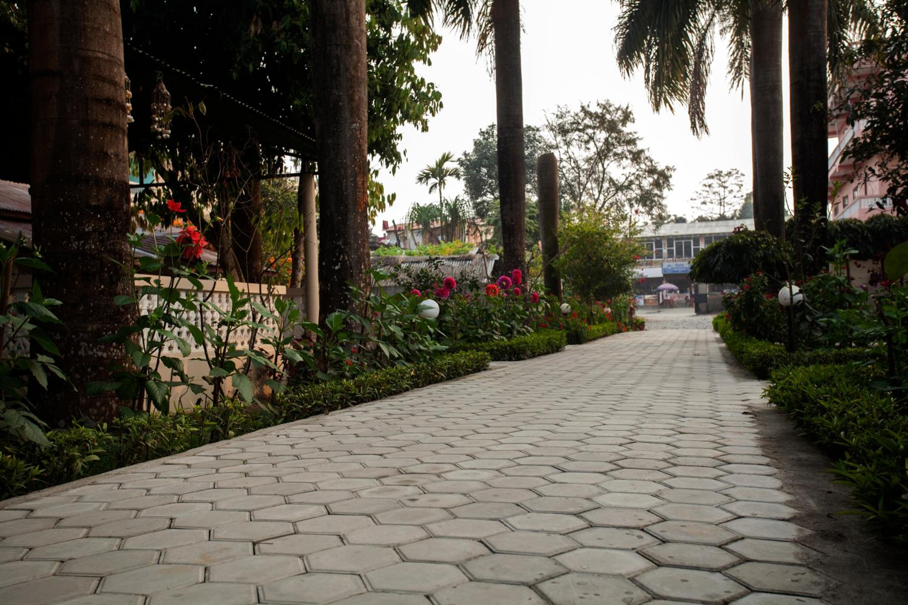 Sauraha Resort