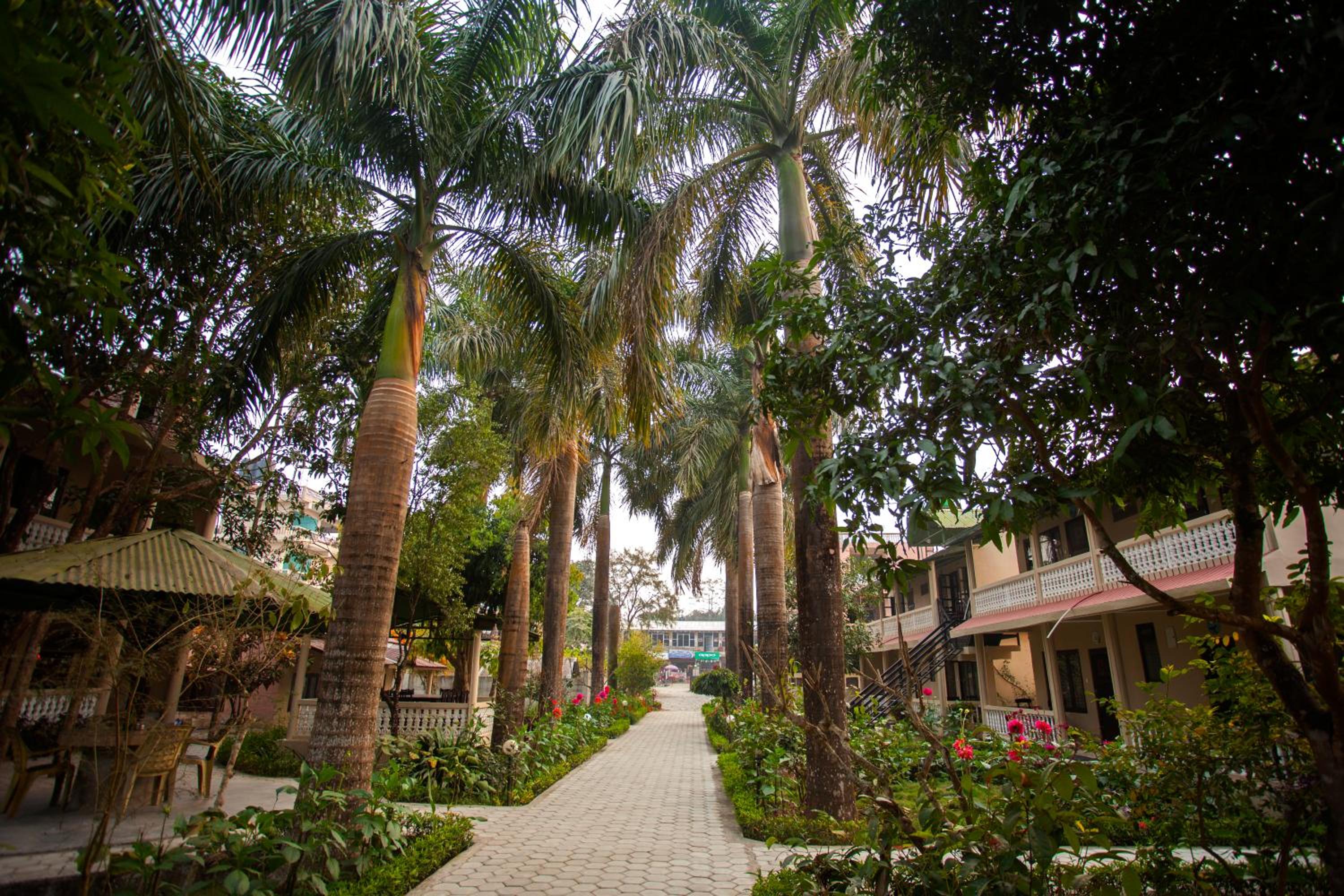 Sauraha Resort