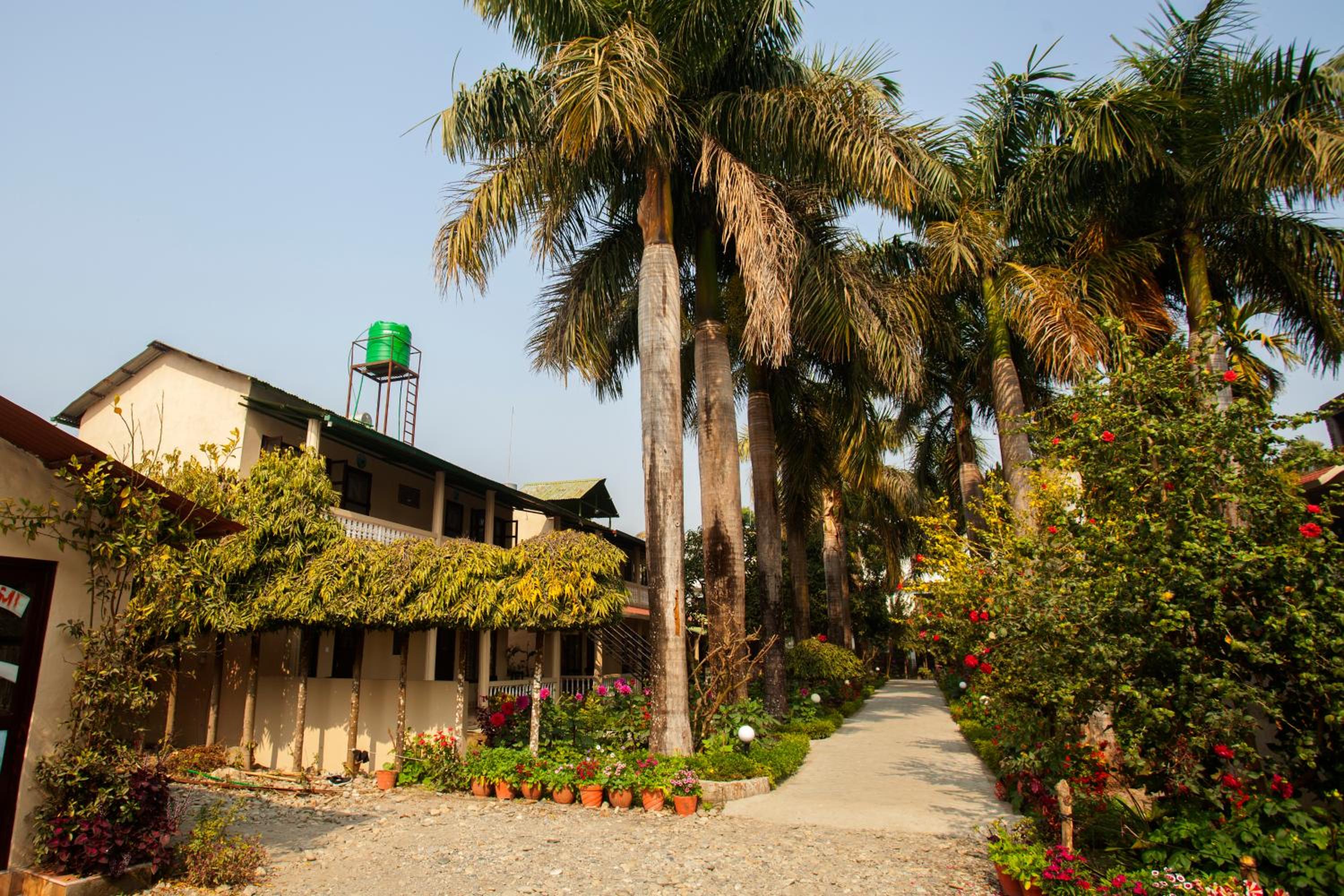 Sauraha Resort