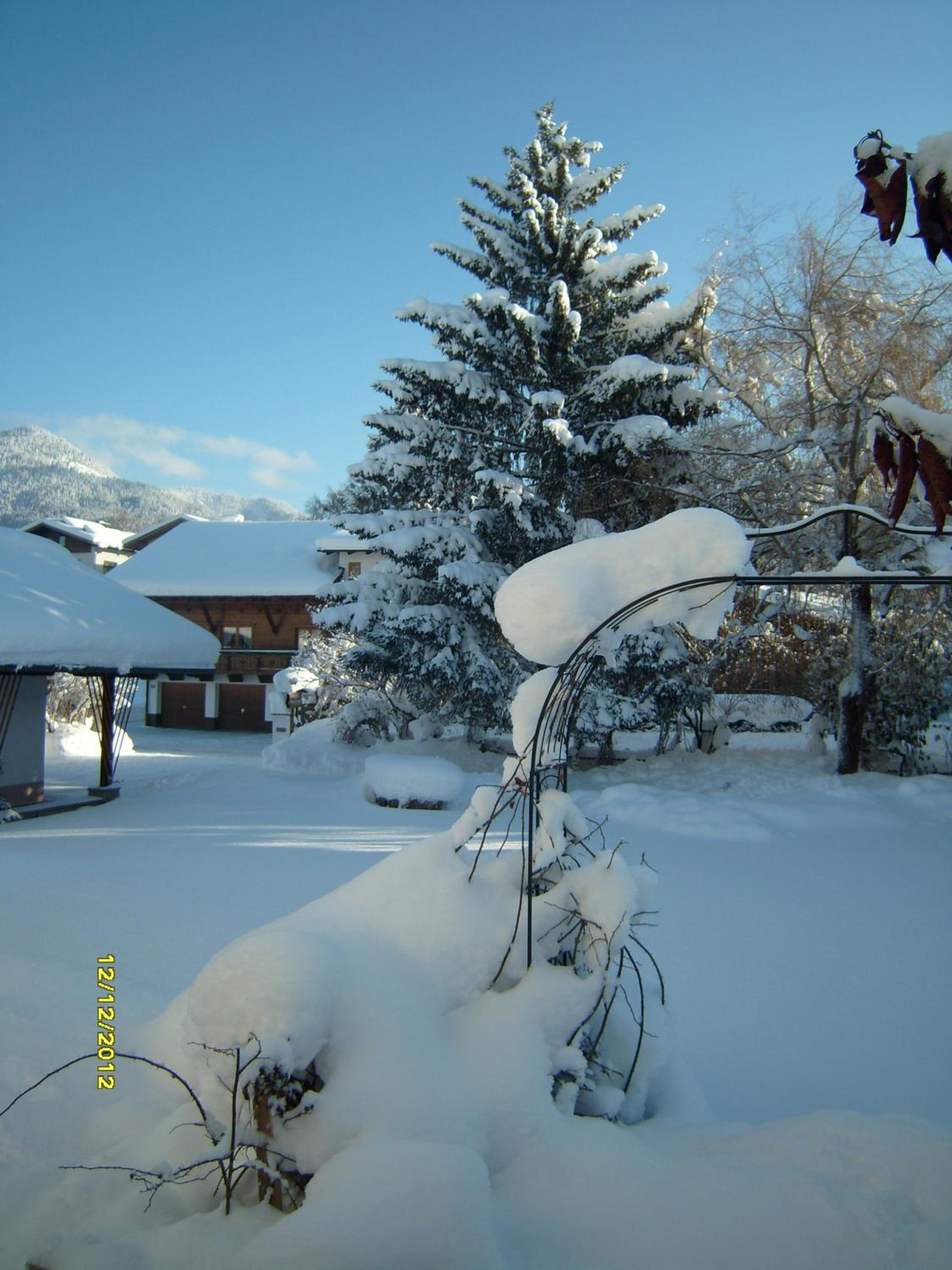 Photo 38