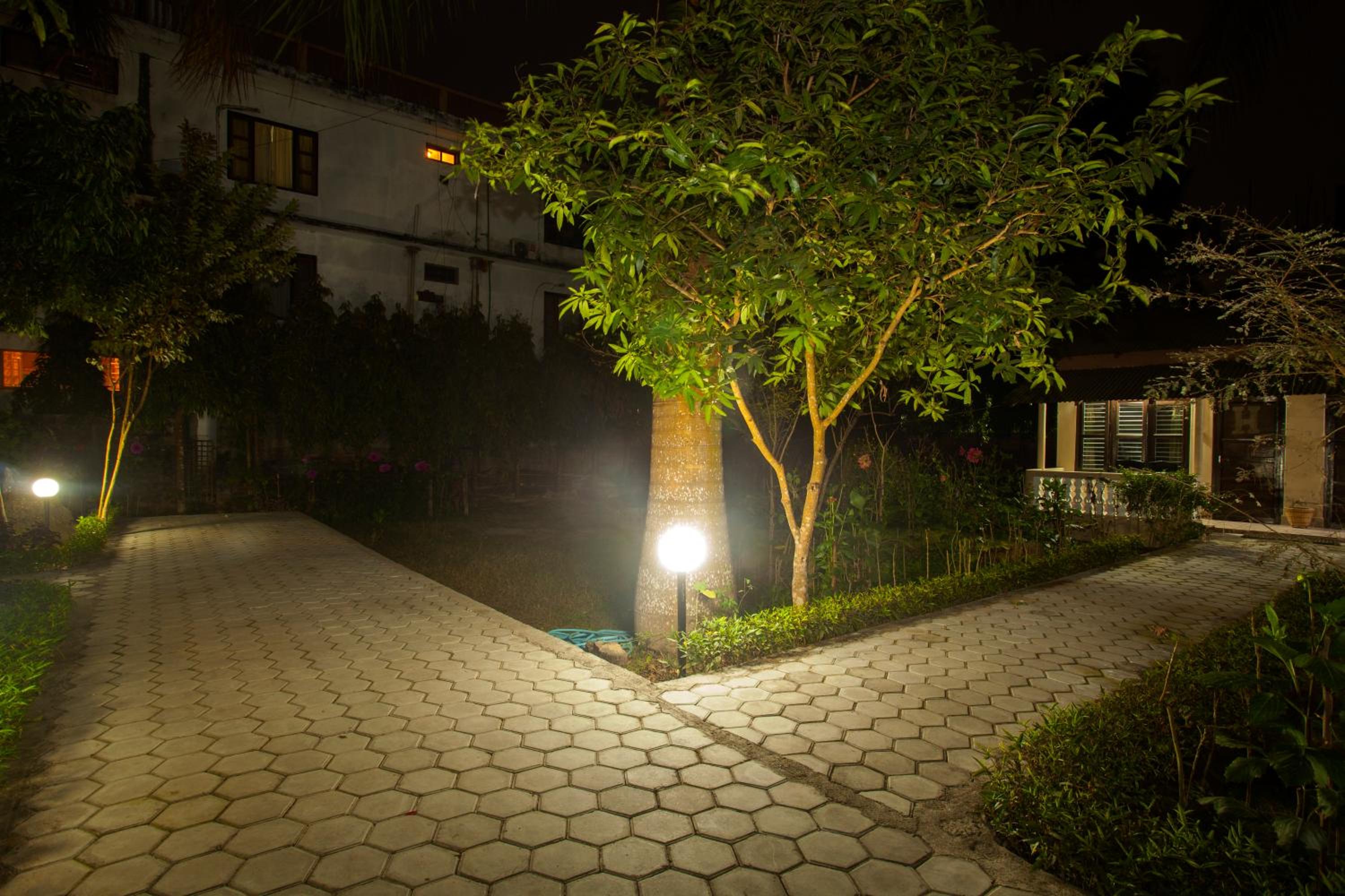 Sauraha Resort