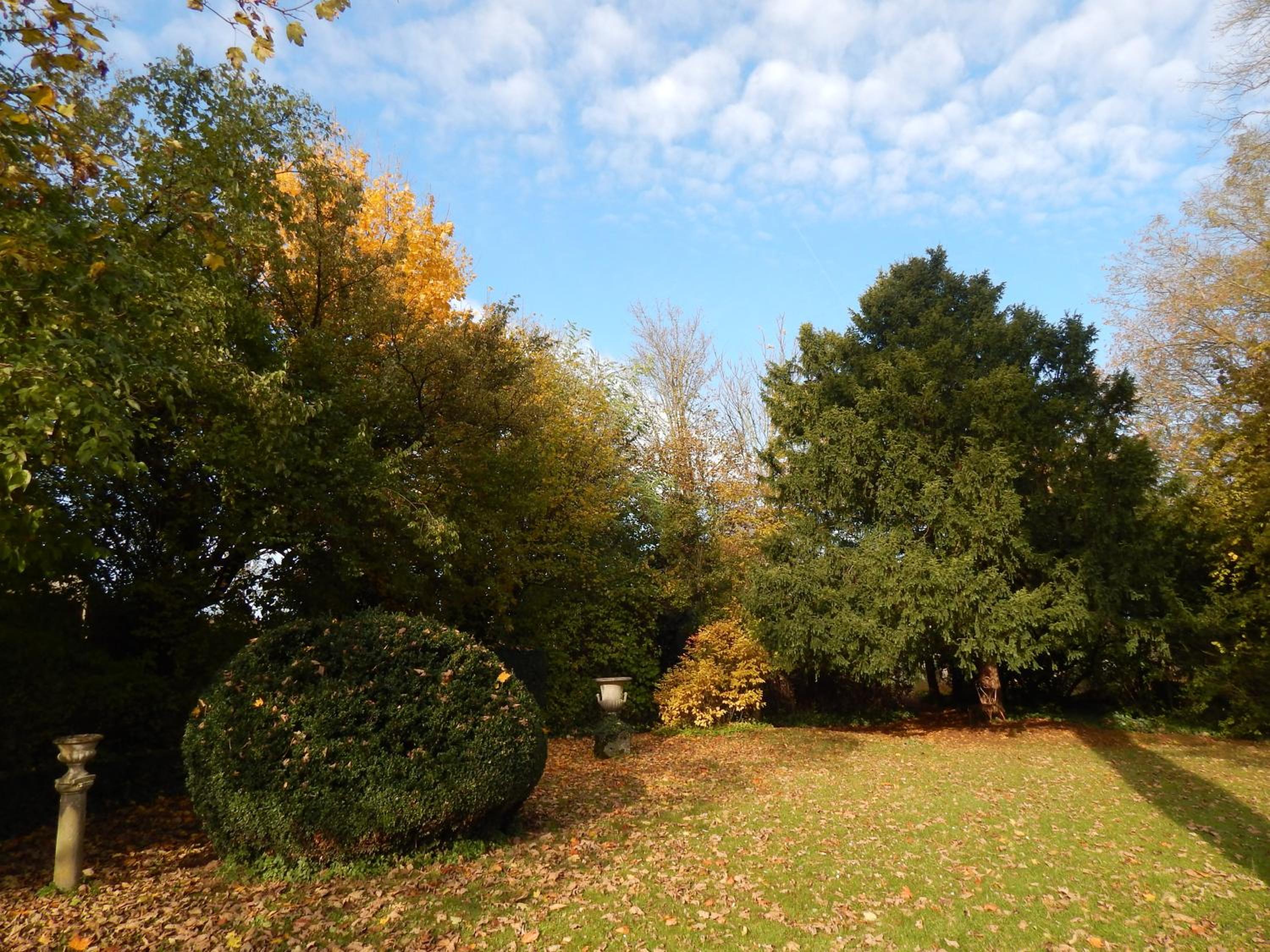 La Petardière, photo 24