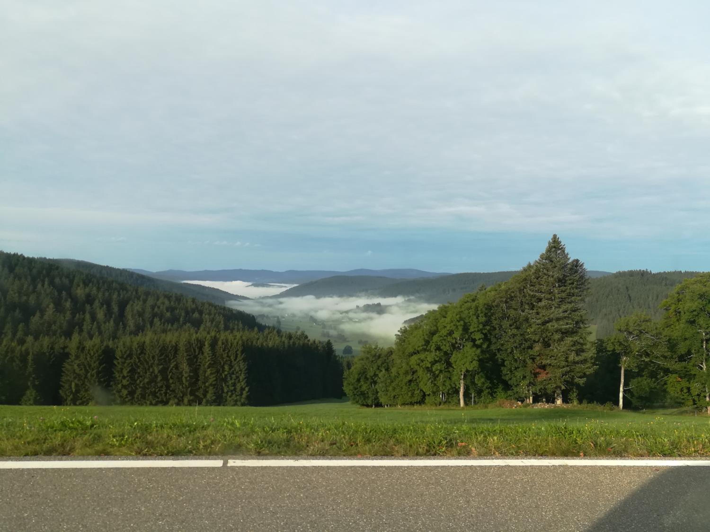 Pension Forsthaus Täle - das Gästehaus vom Schwarzwaldgasthaus Salenhof view 4