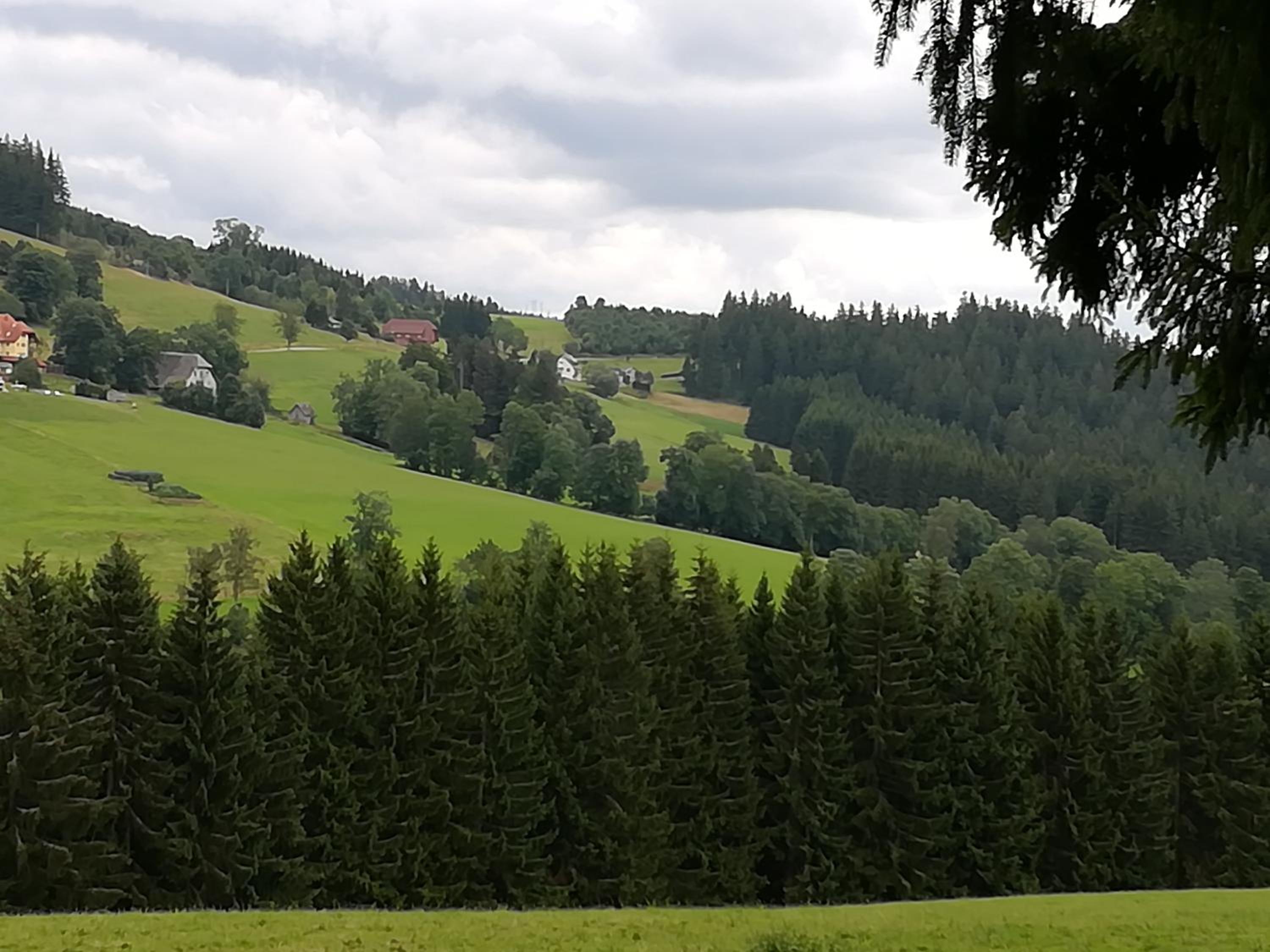 Pension Forsthaus Täle - das Gästehaus vom Schwarzwaldgasthaus Salenhof view 3
