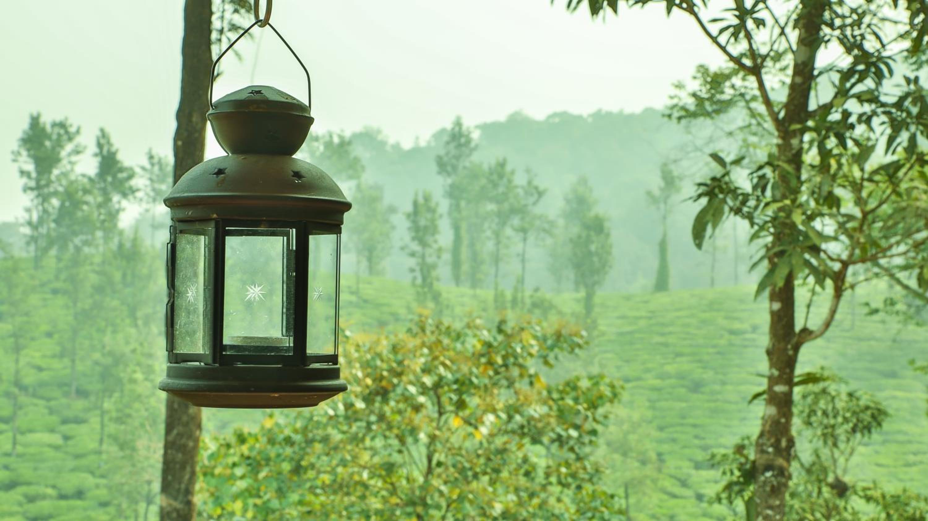 Green Garden Deluxe Room