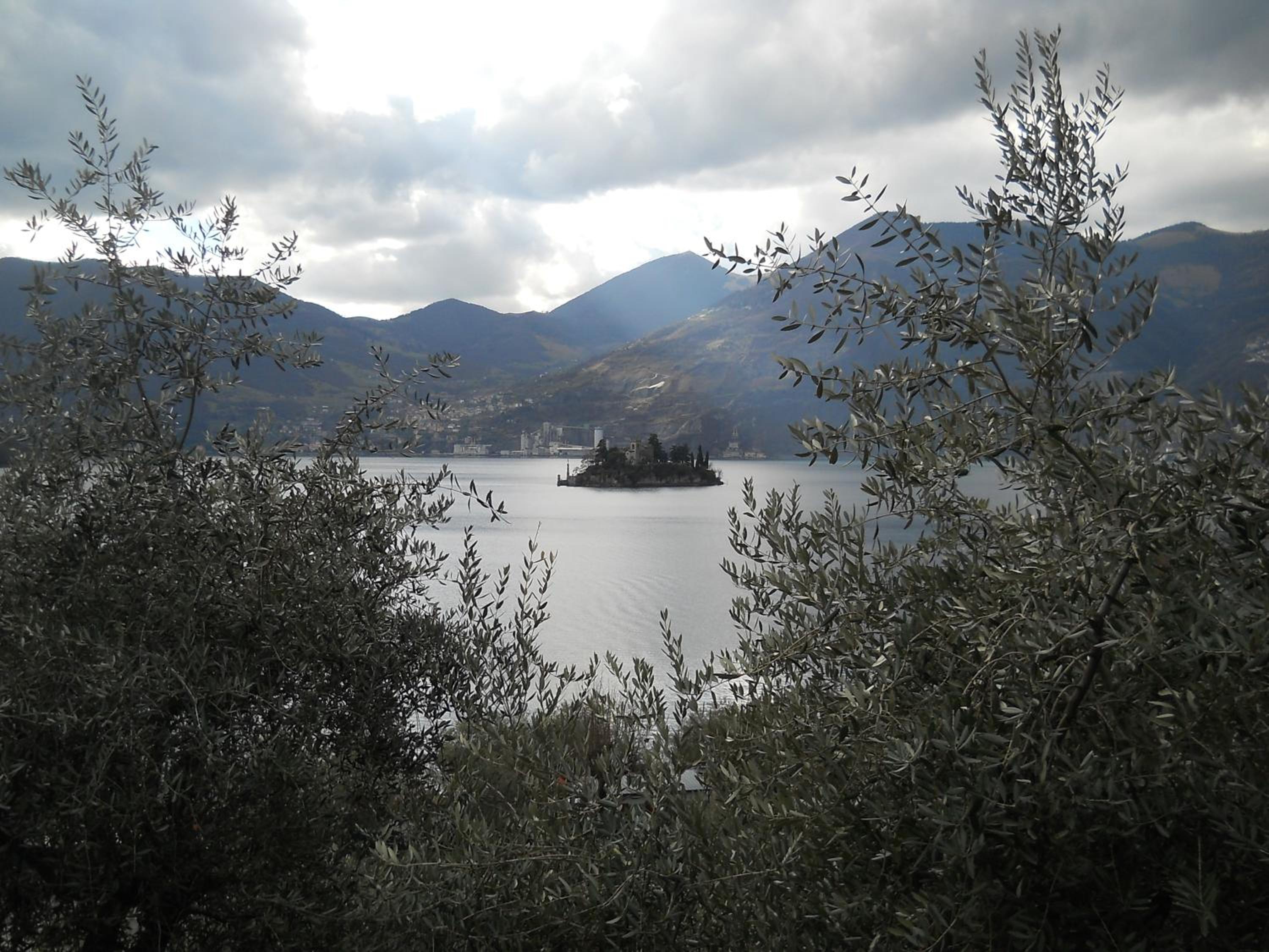 Photo 22