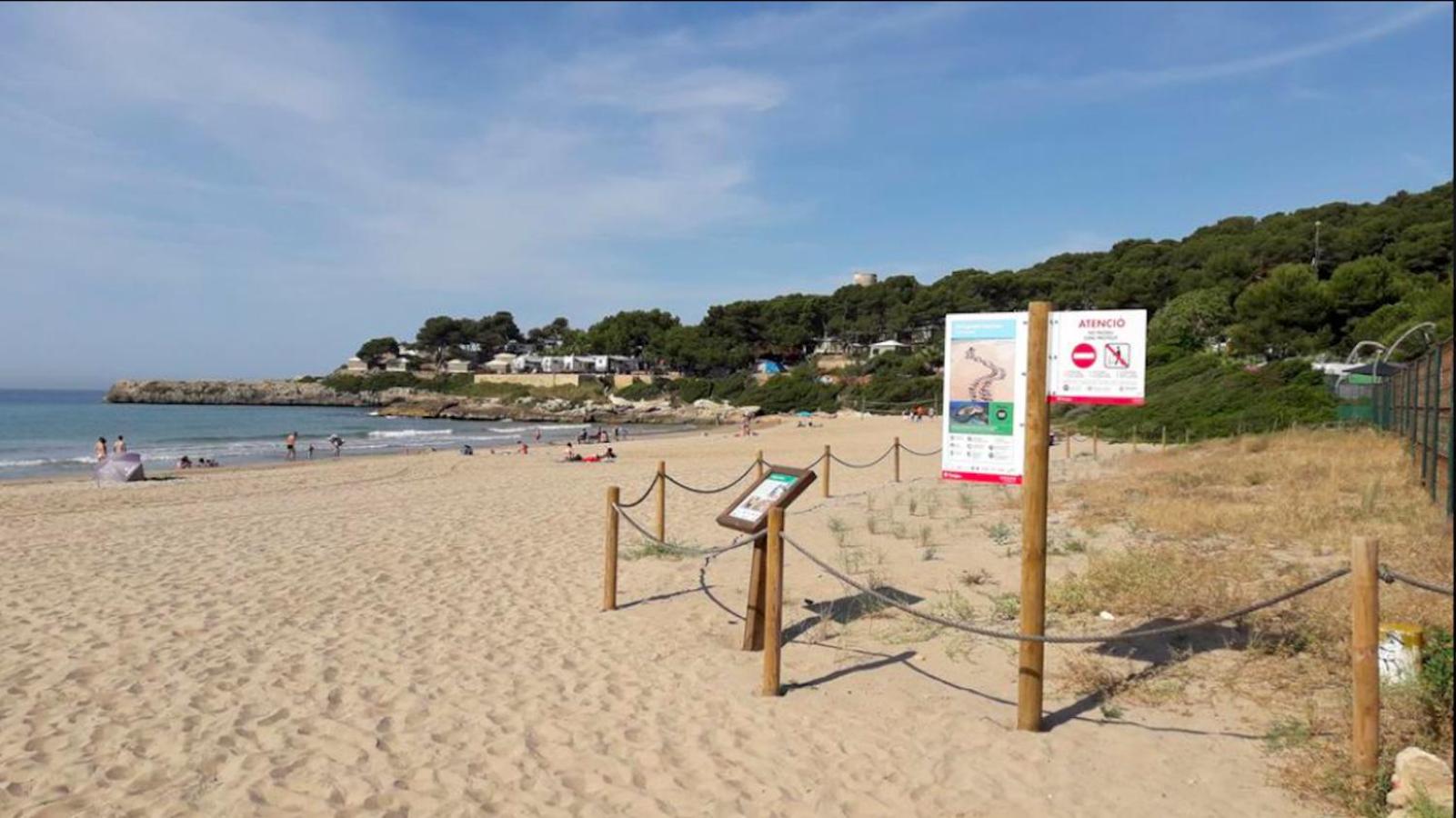 Photo 116