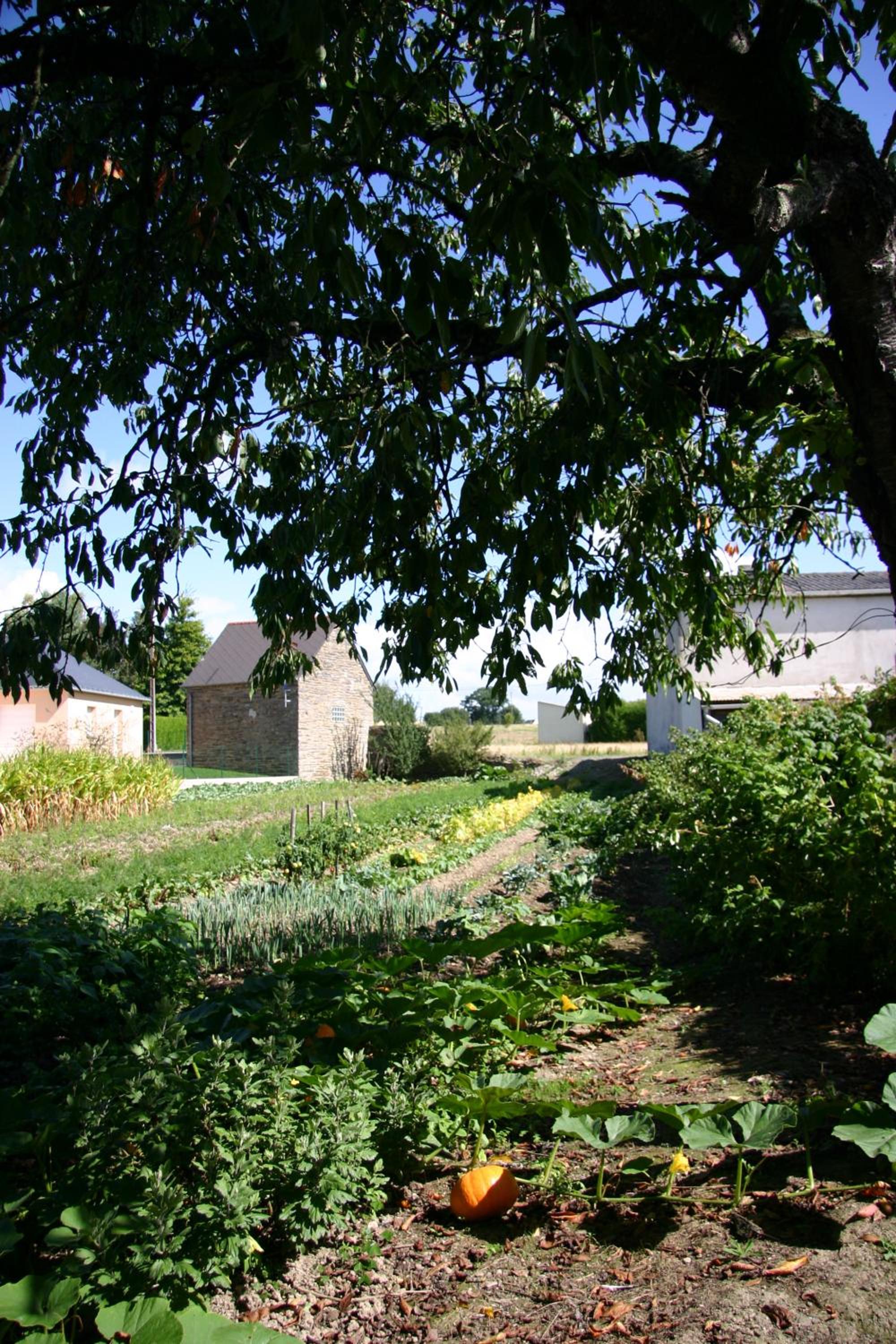 Studio du Chalet de Caharet view 5