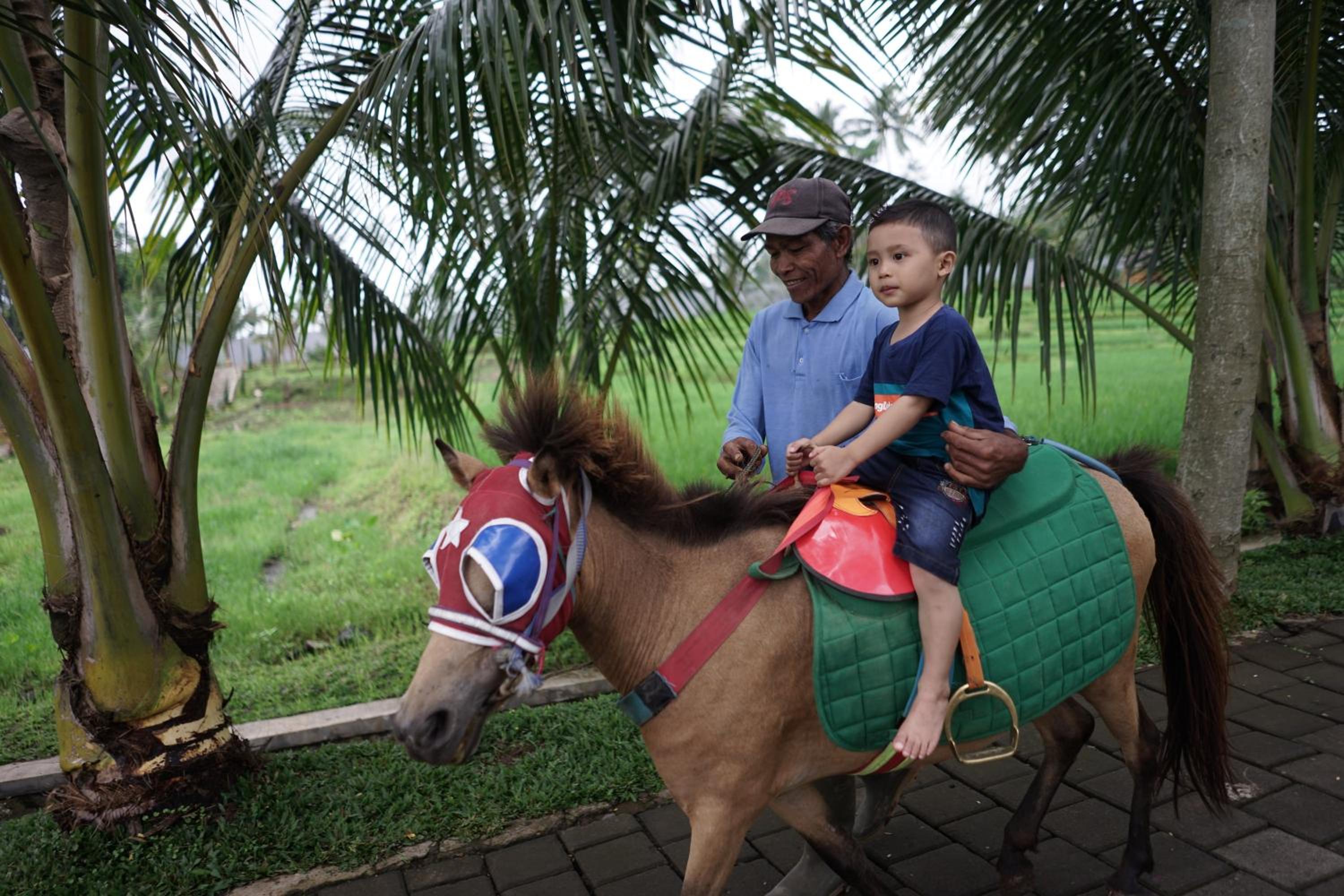 Grand Harvest Resort & Villas