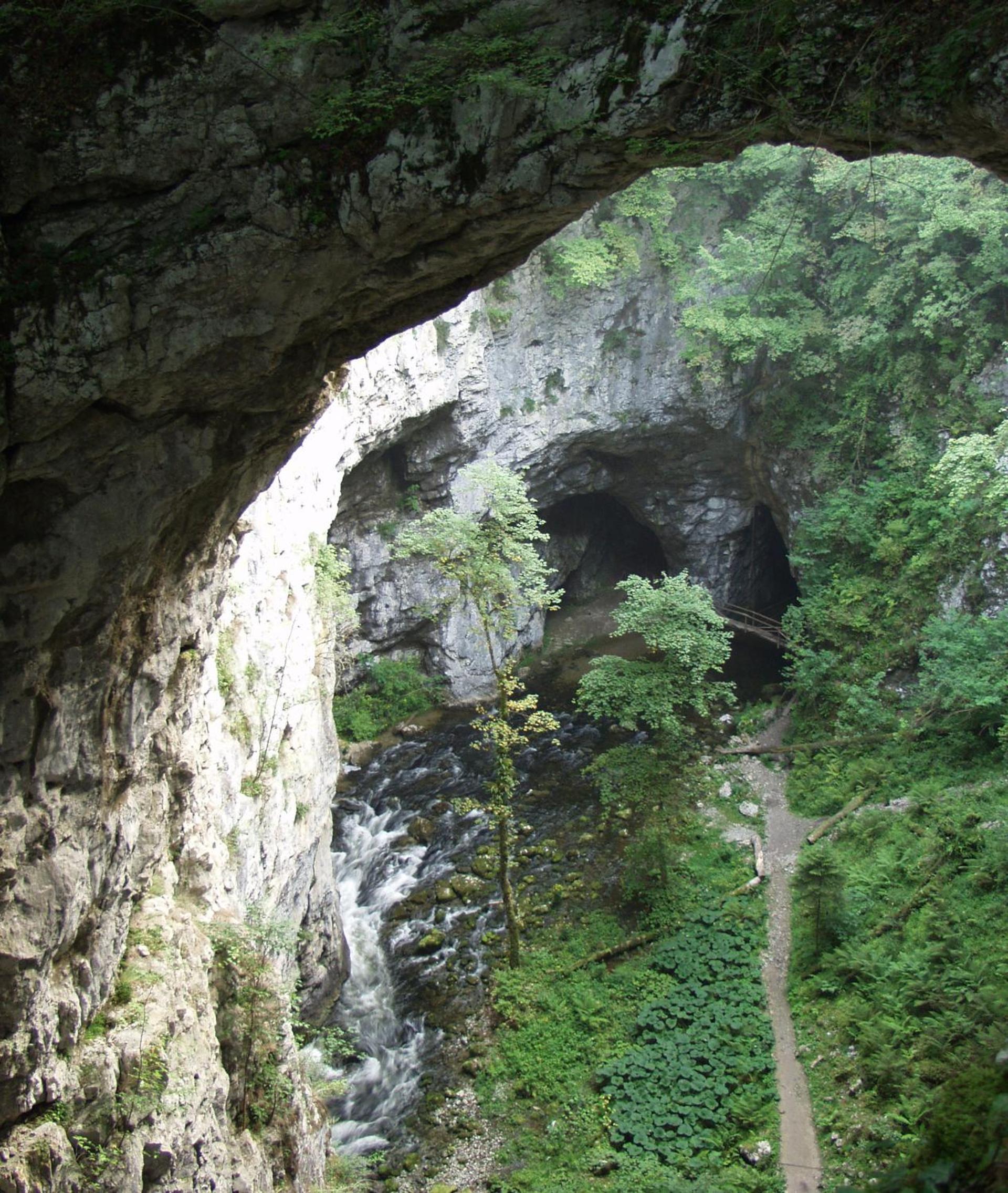 Photo 46