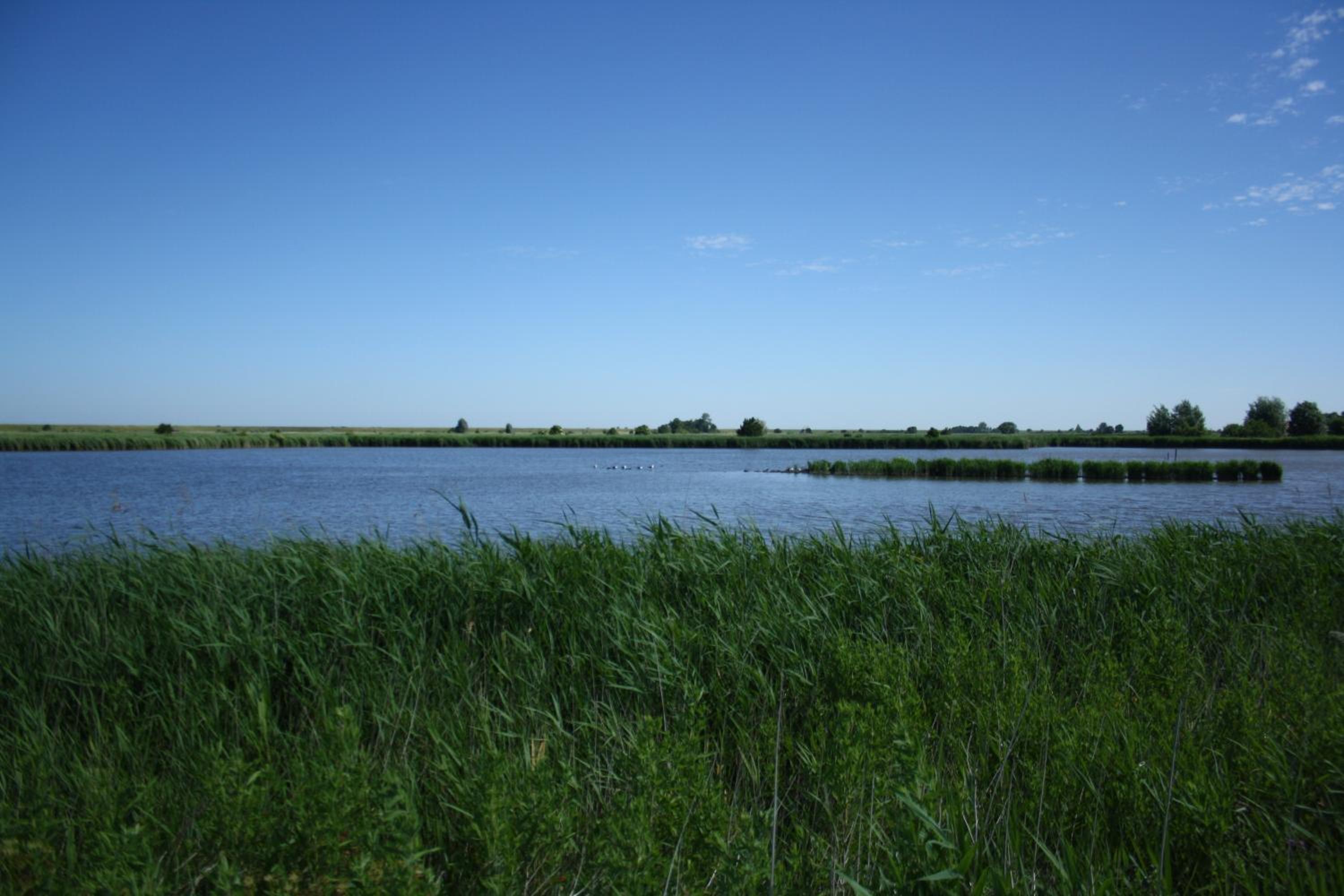 Gulfhof Greetsiel