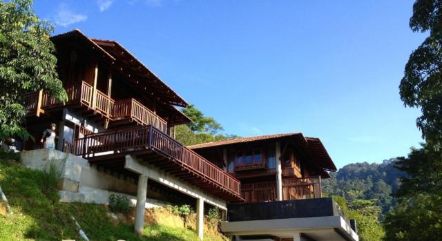 The Shorea