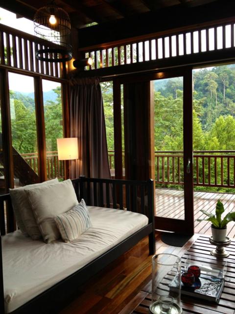 The Shorea