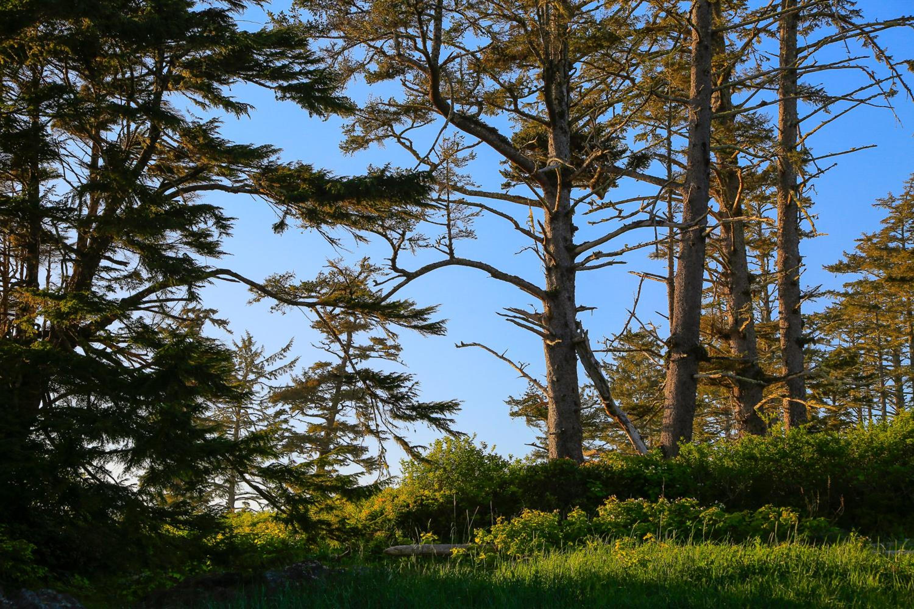 Black Rock Beach House