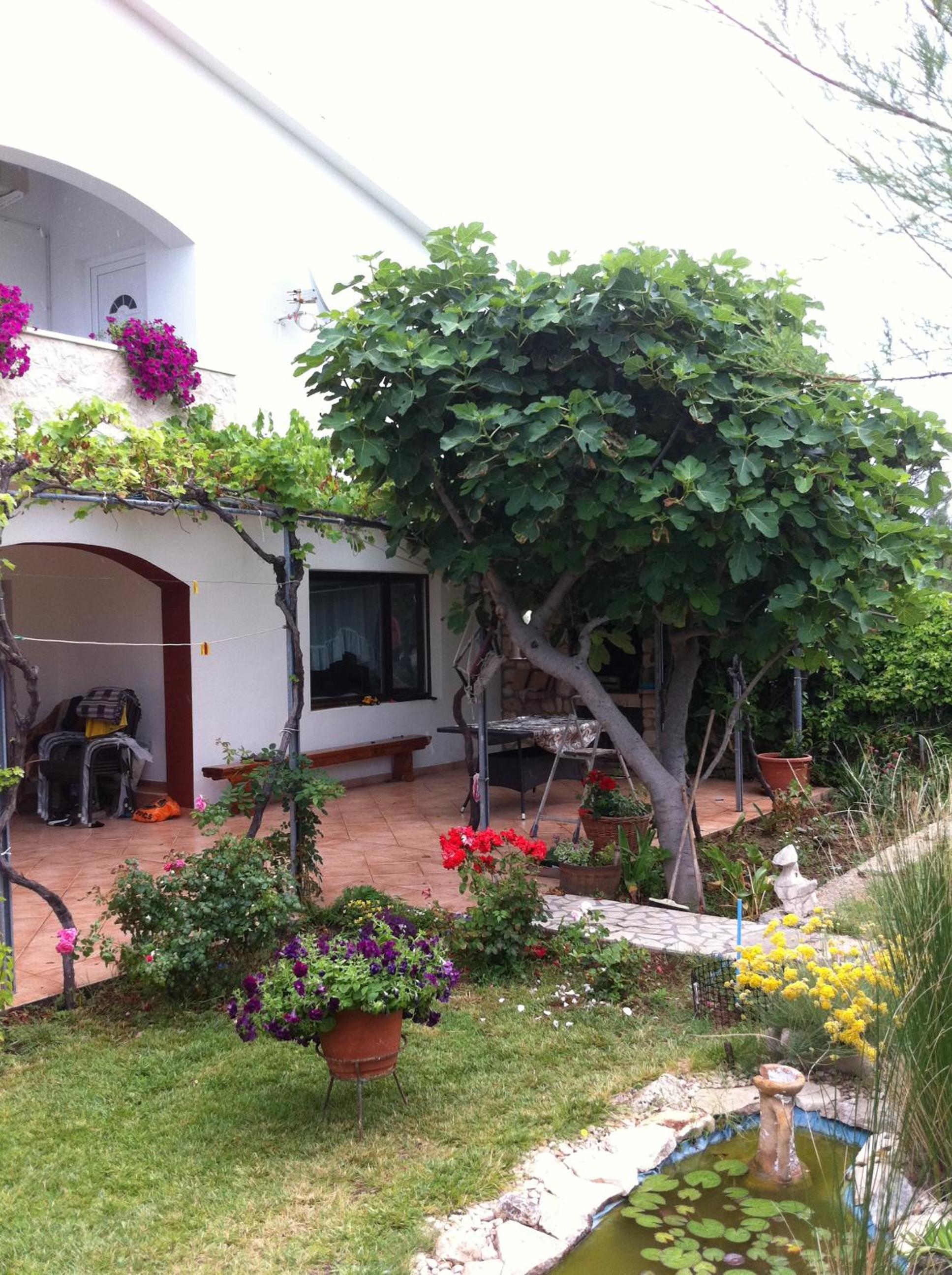 Photo 30