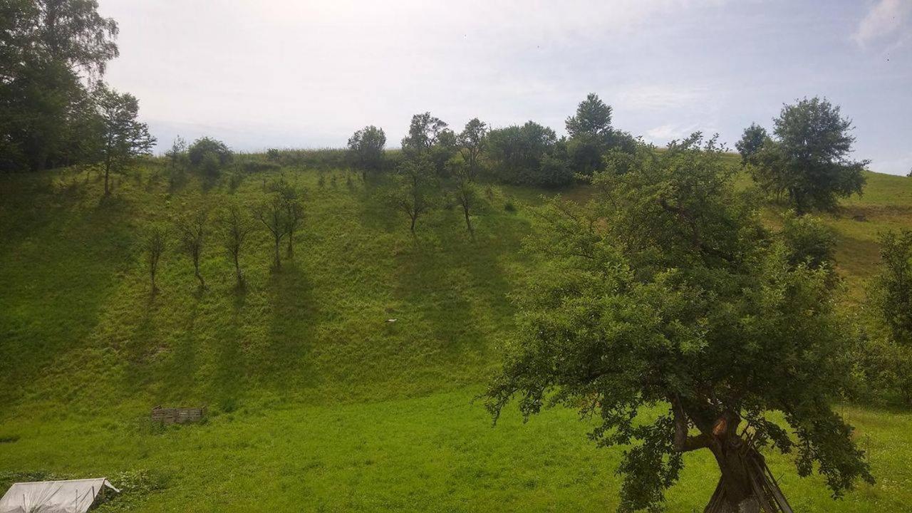 Domek u Basi view 5