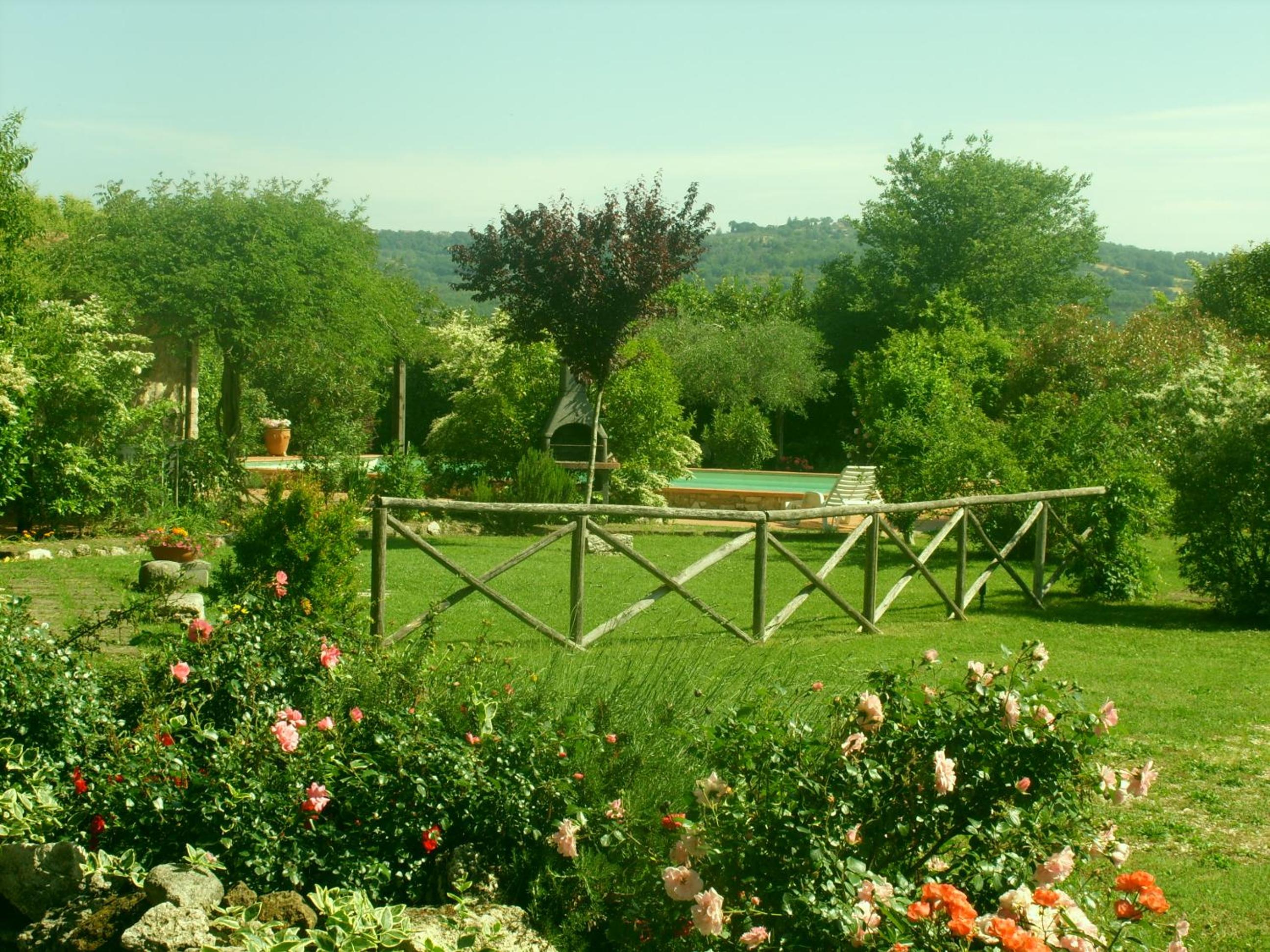 Photo 15