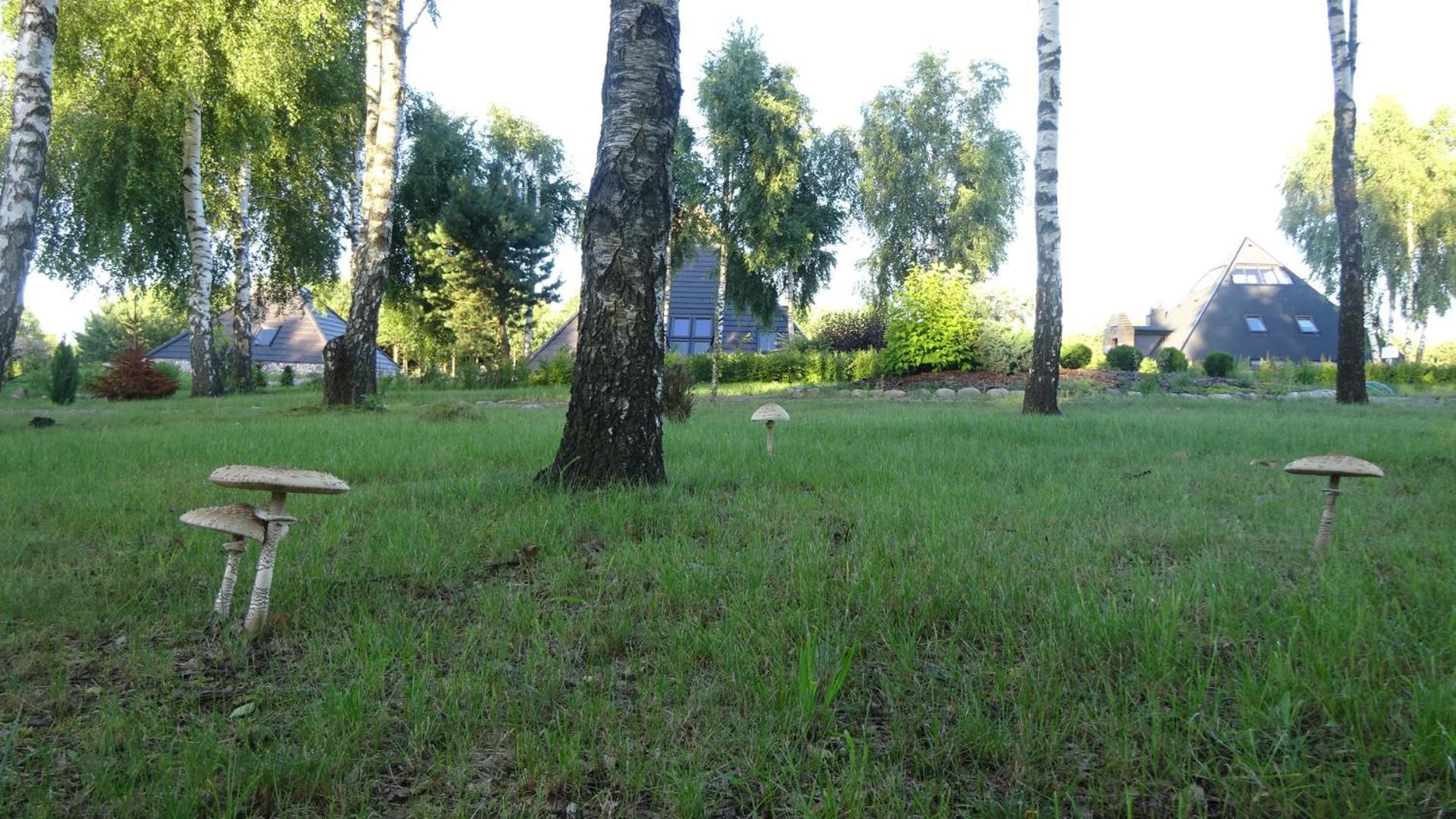 TuDobrze Noclegi w piramidach