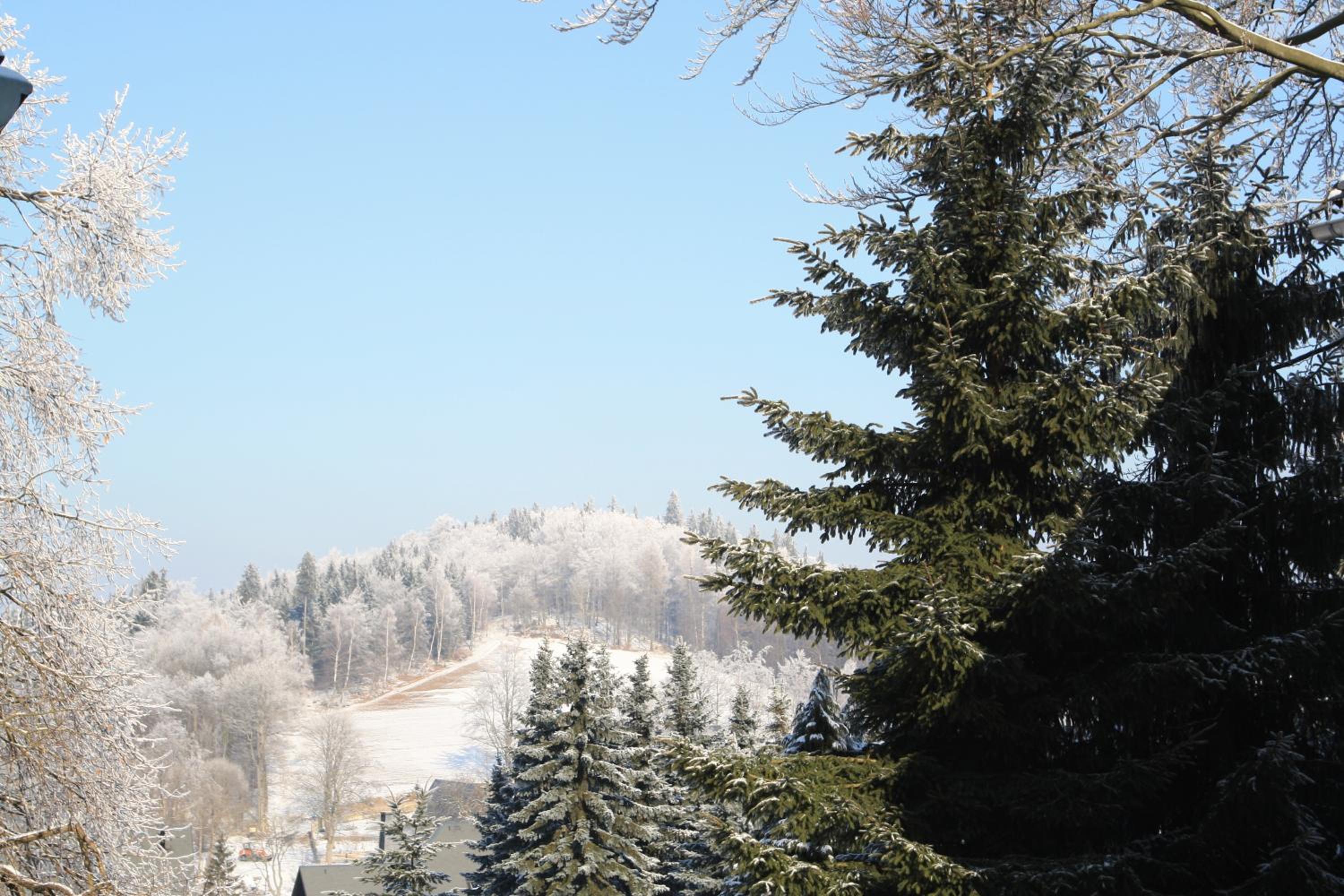 Pension Hotel Sartor