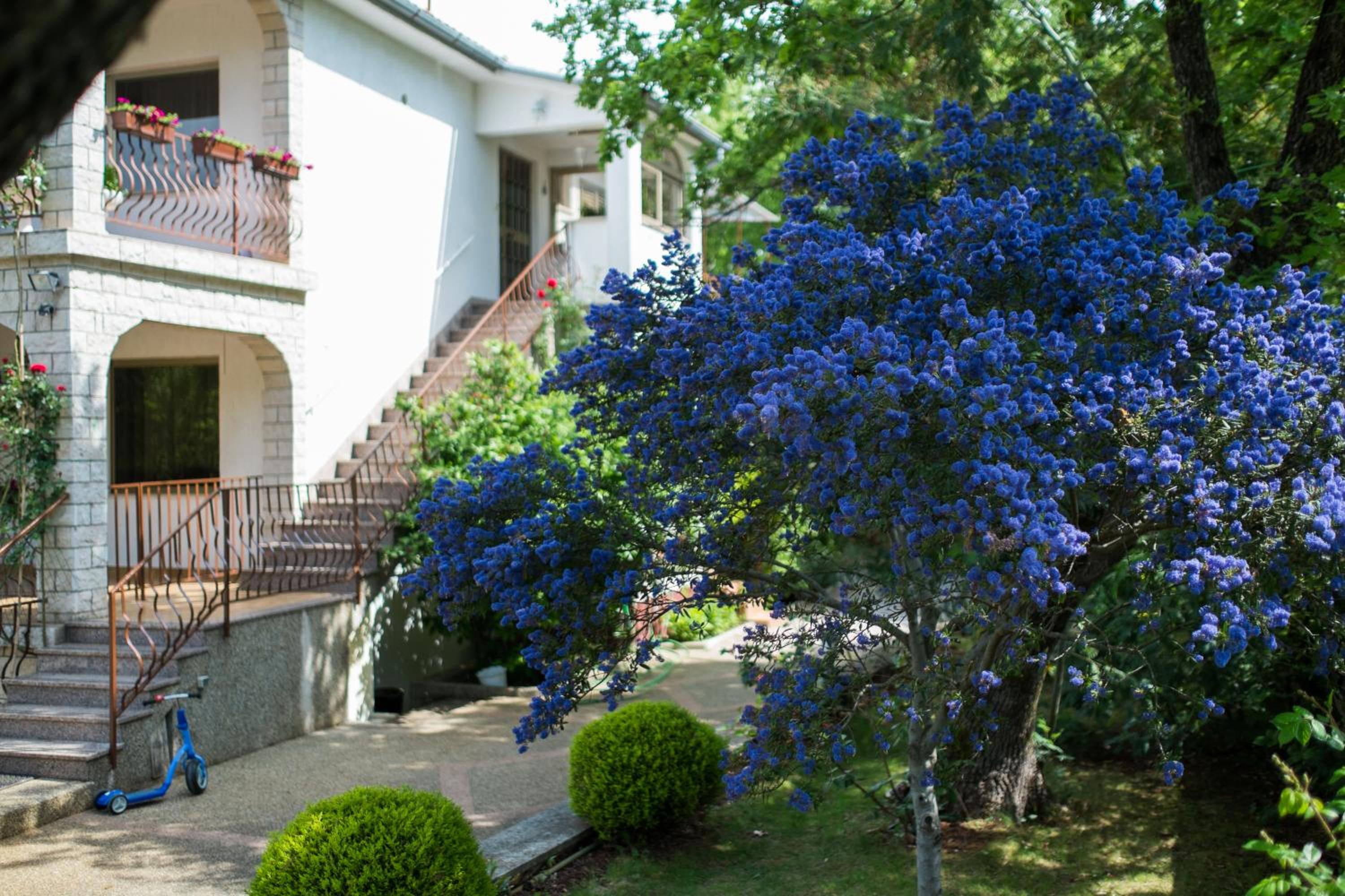 Apartment Dani view 3