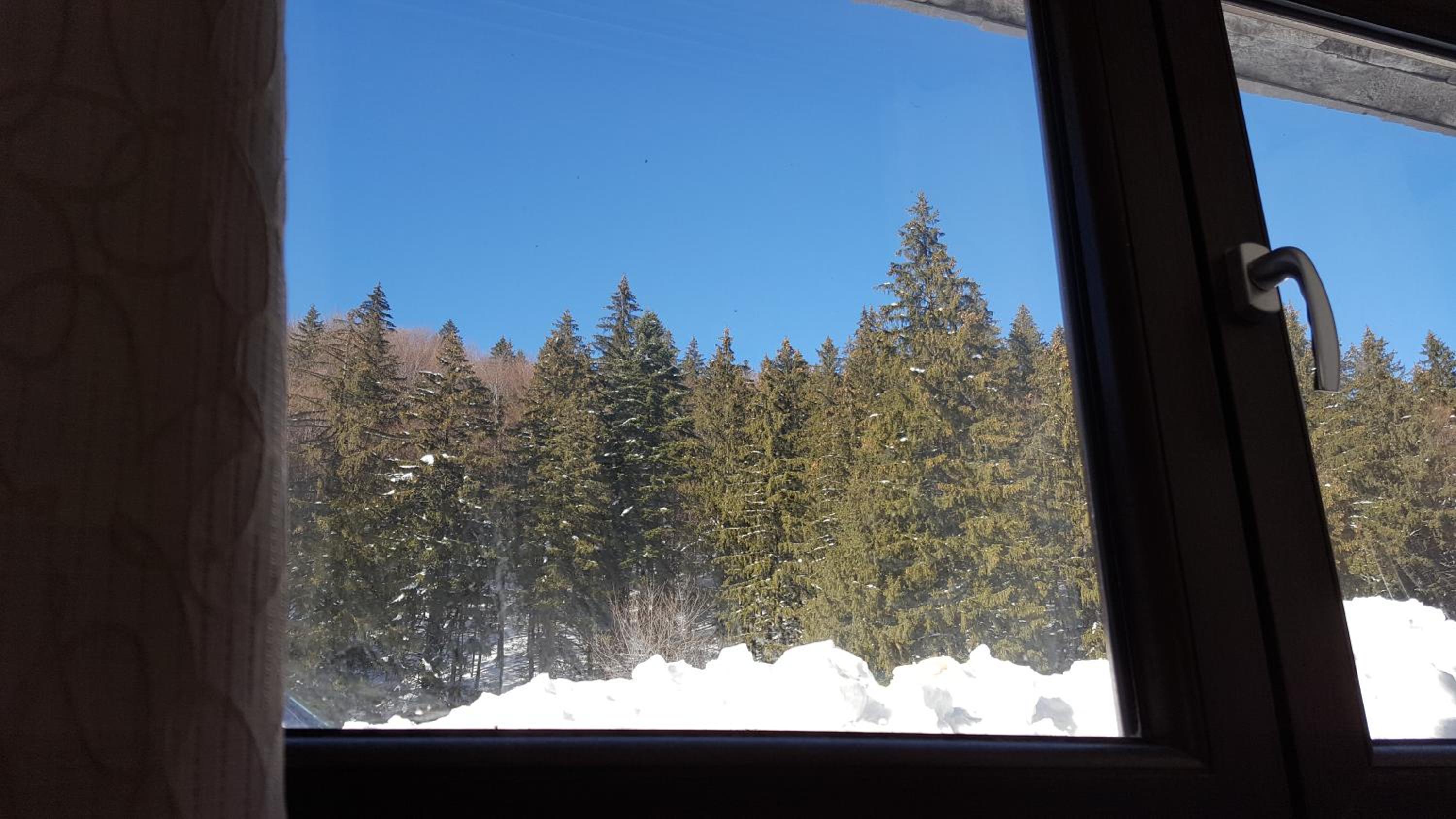 Apartament Andra view 5