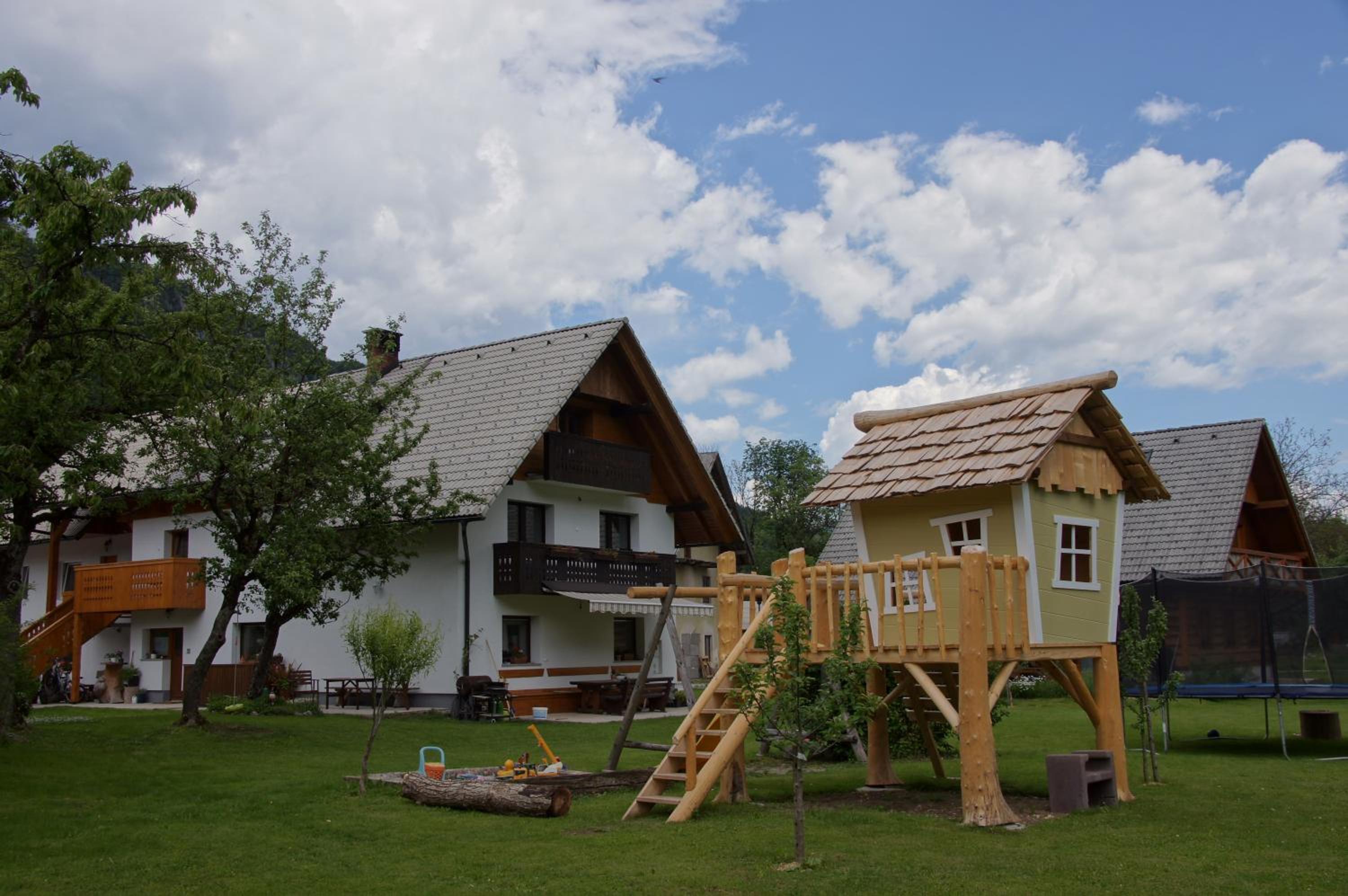 Photo 7