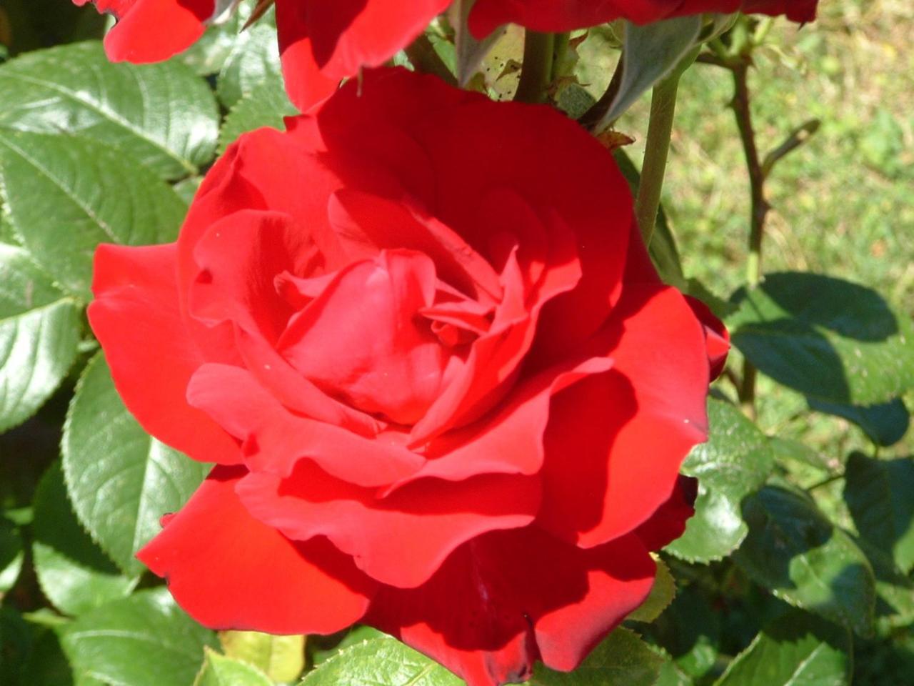 Photo 26