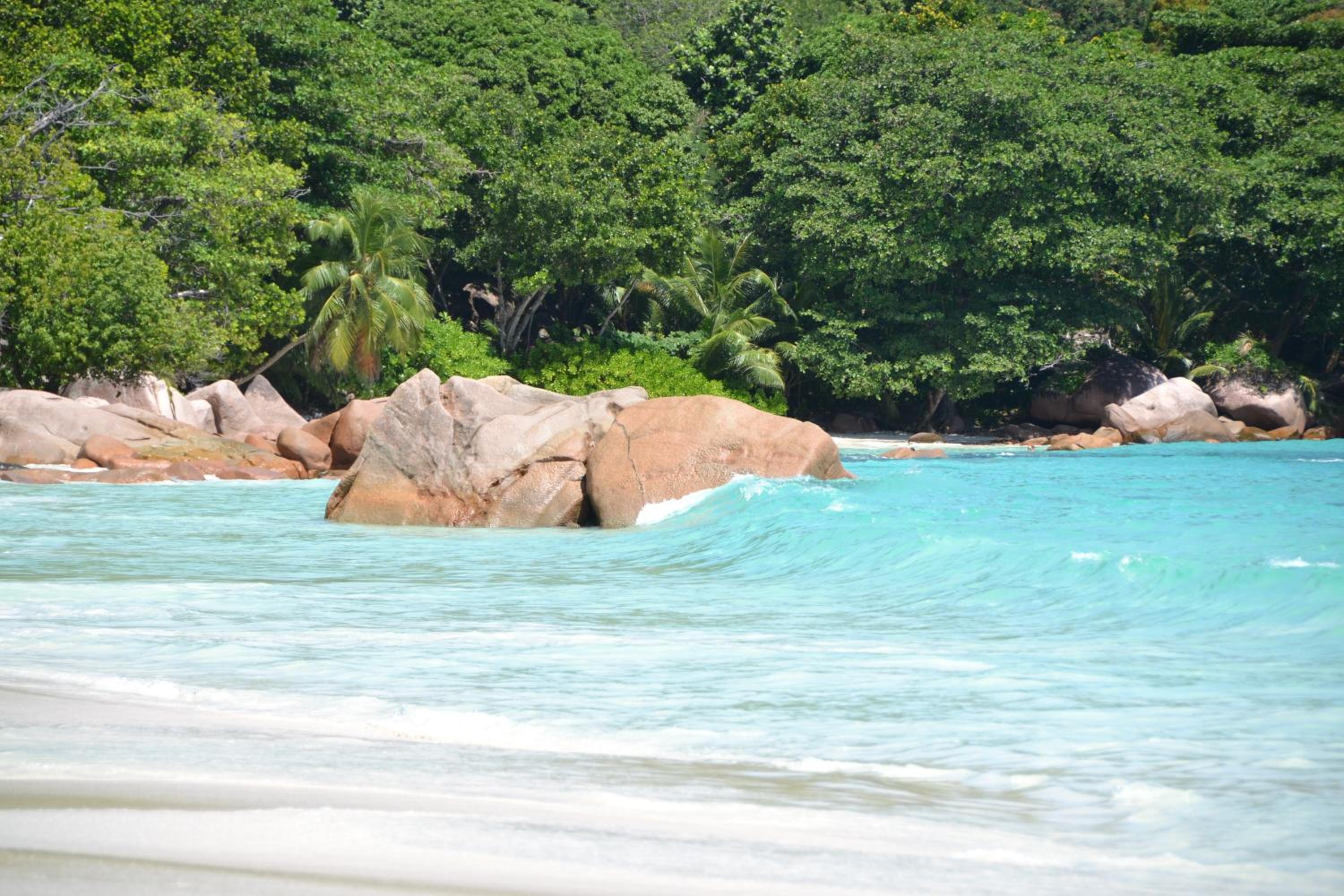 The Old School Self-Catering photo 3