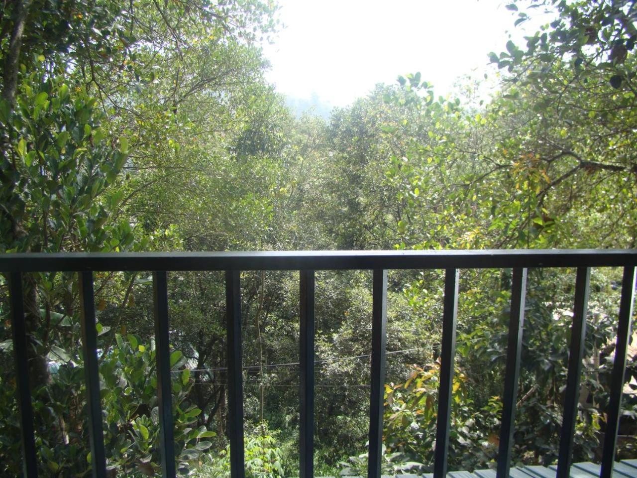 Photo 42