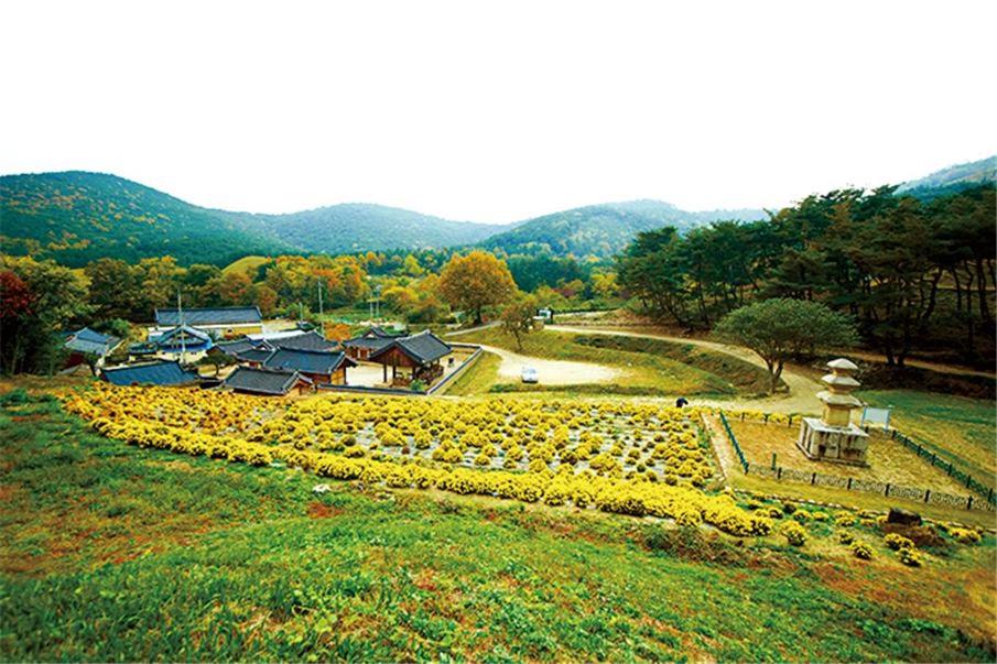 Dobong Seodang