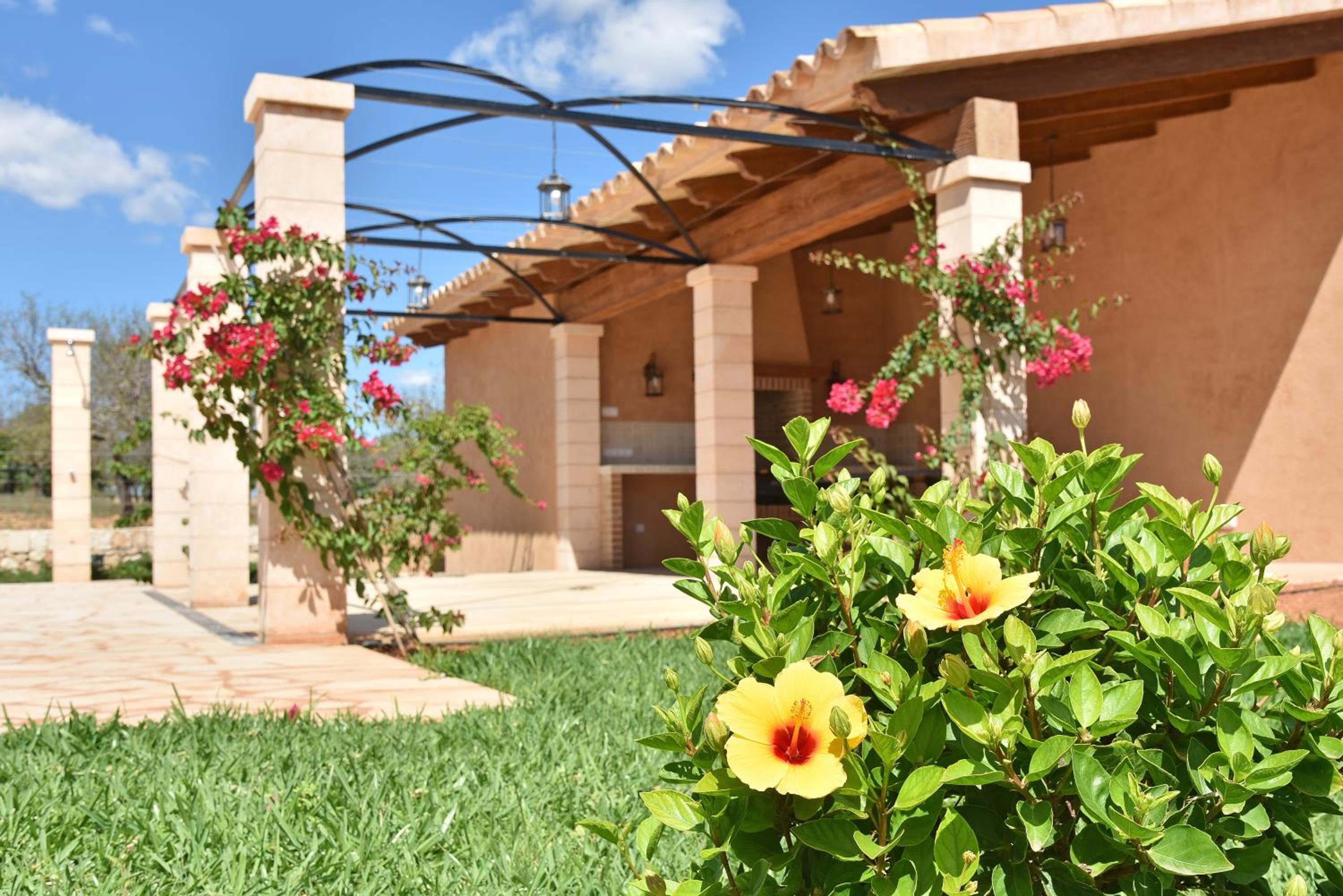 Finca Sonduri view 5