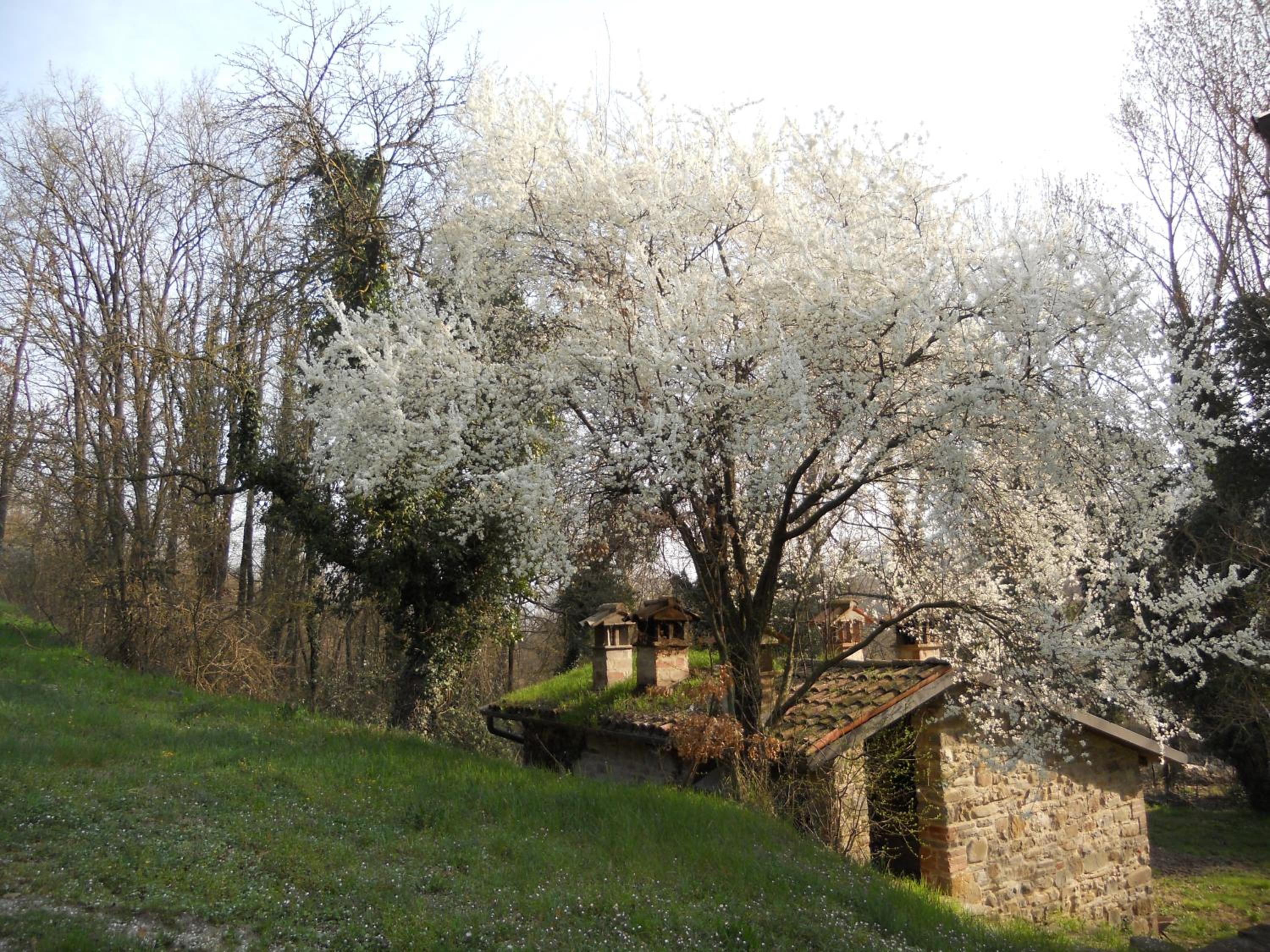 la cartiera dei benandanti