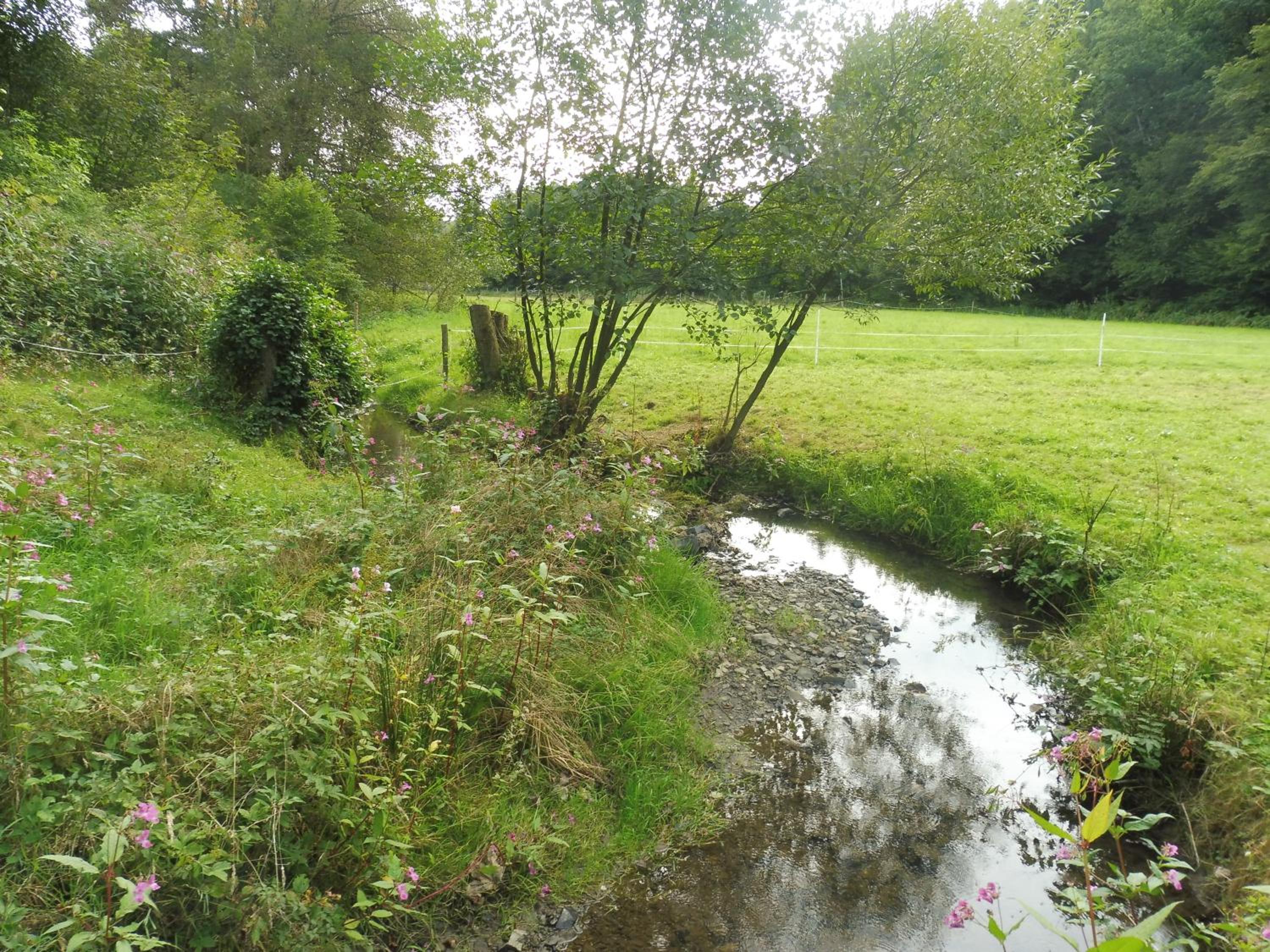 Kleine Villa im wilden Garten