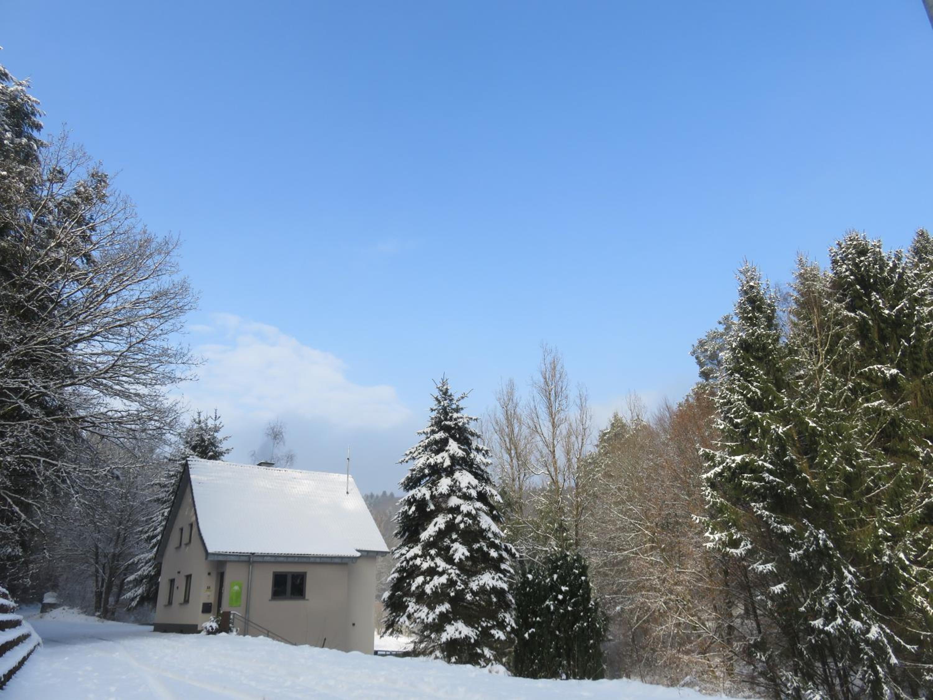 Ferienhaus waldReich
