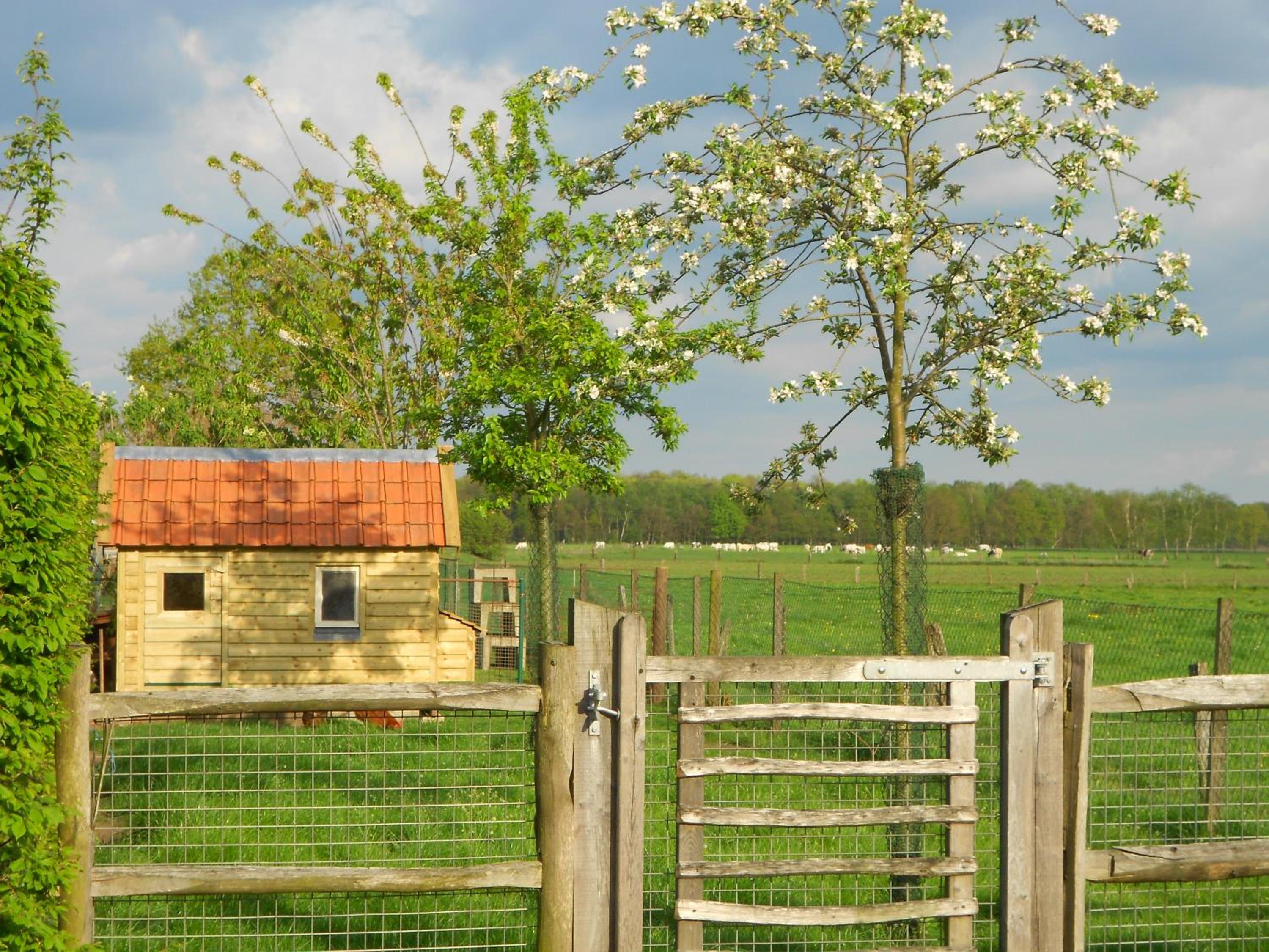 LOGIES Tuin der Zinnen
