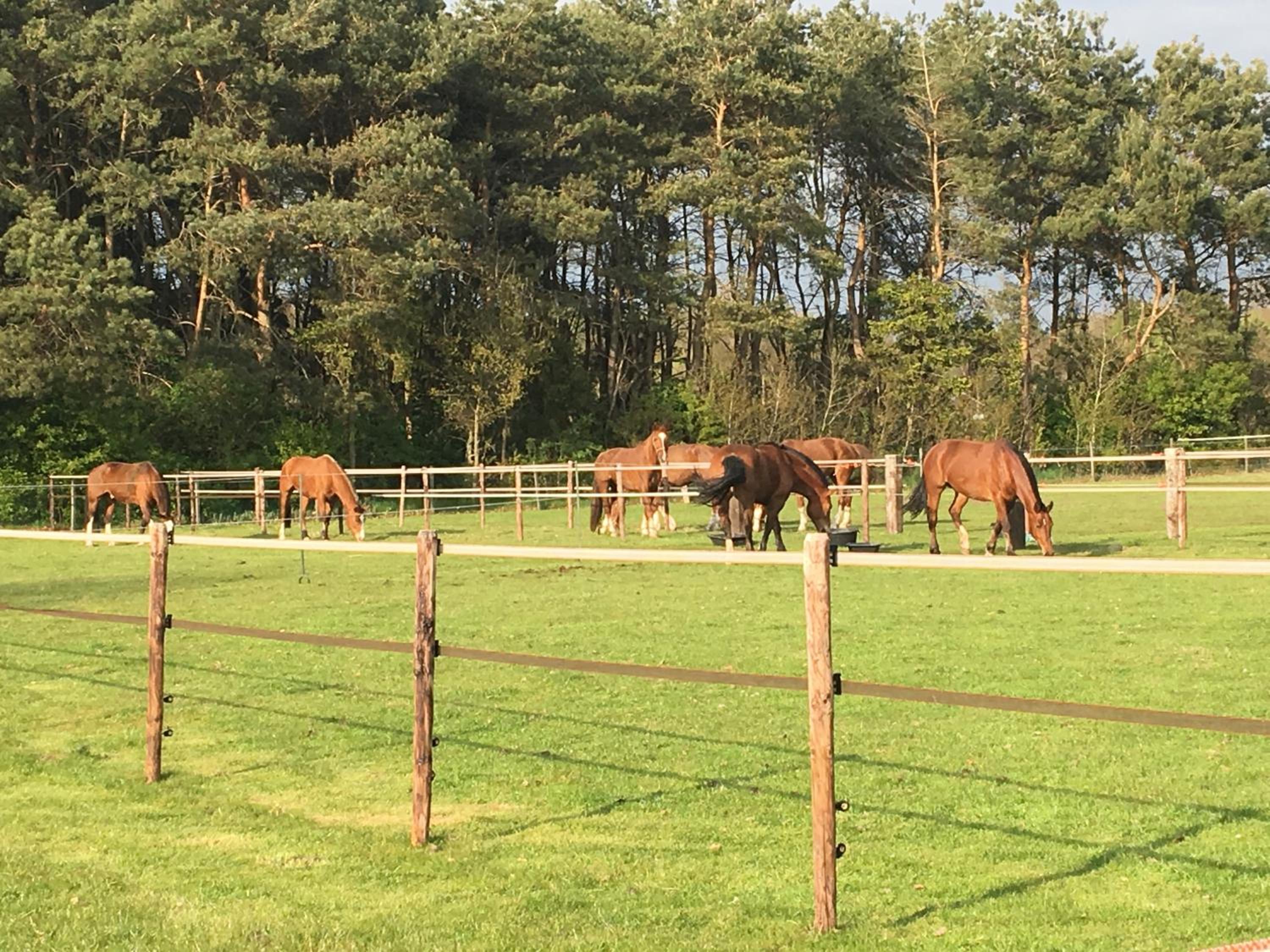 LOGIES Tuin der Zinnen